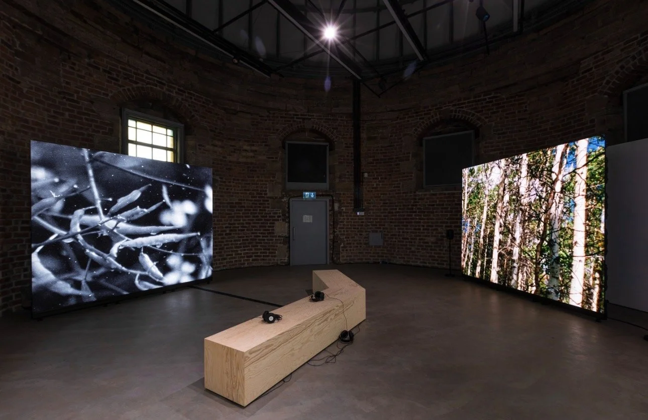 BSL Tour: Shen Xin Highland Embassy