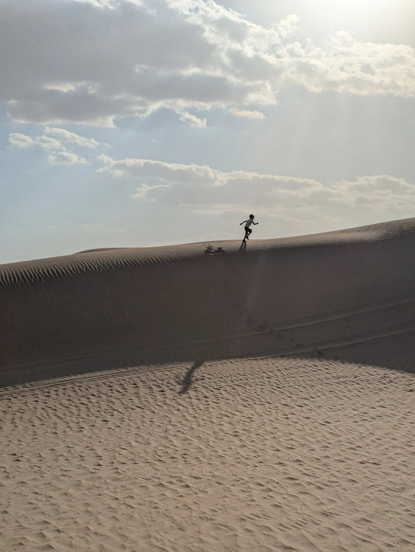 Nature's Playground.
📍Al Marmoom Desert Conservation Reserve
.
.
.
.
#visitdubai #desertsafari #familytravel #traveladvisor #almarmoom
