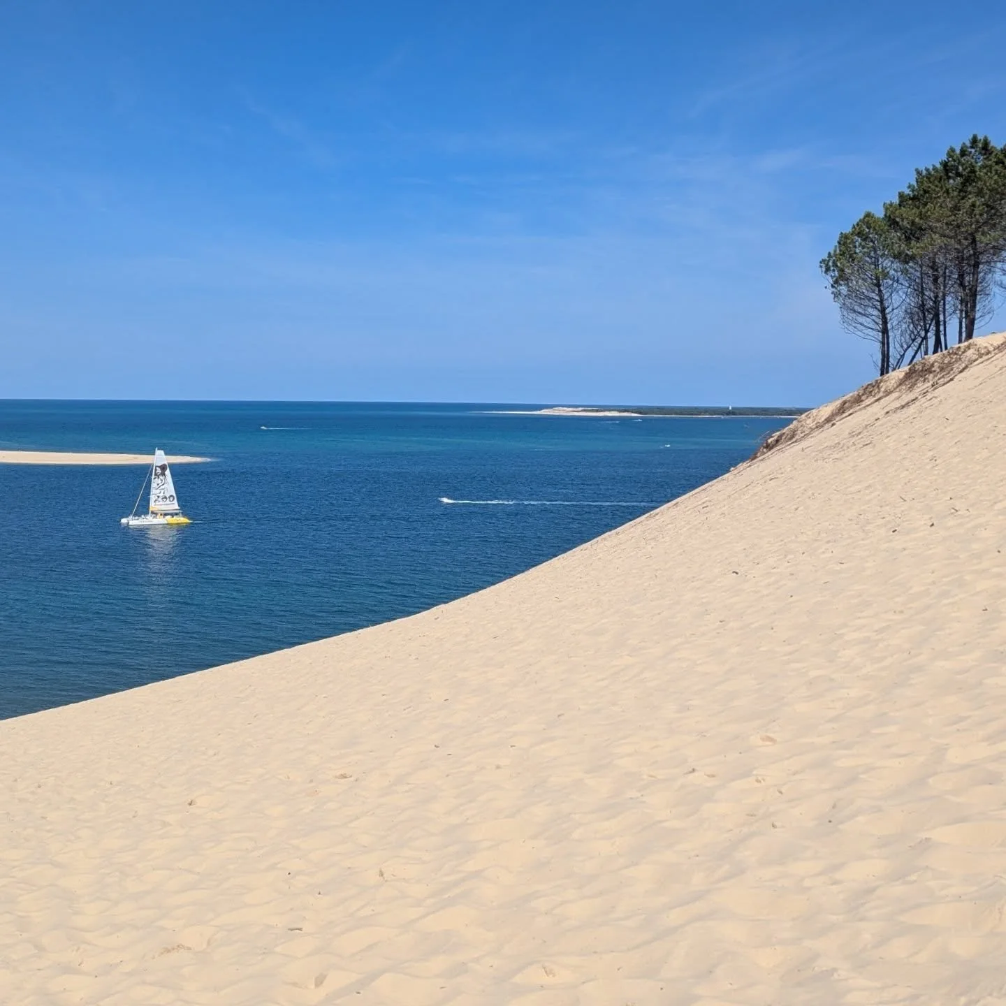 Dune du Pilat &mdash; Europe&rsquo;s tallest sand dune

Golden sand, pine forest on one side, the Atlantic on the other, and those dreamy sandbanks out at sea &mdash; how beautiful is nature?!
.
.
.
.
#dunedupilat #travelfrance #sanddune #epicviews #