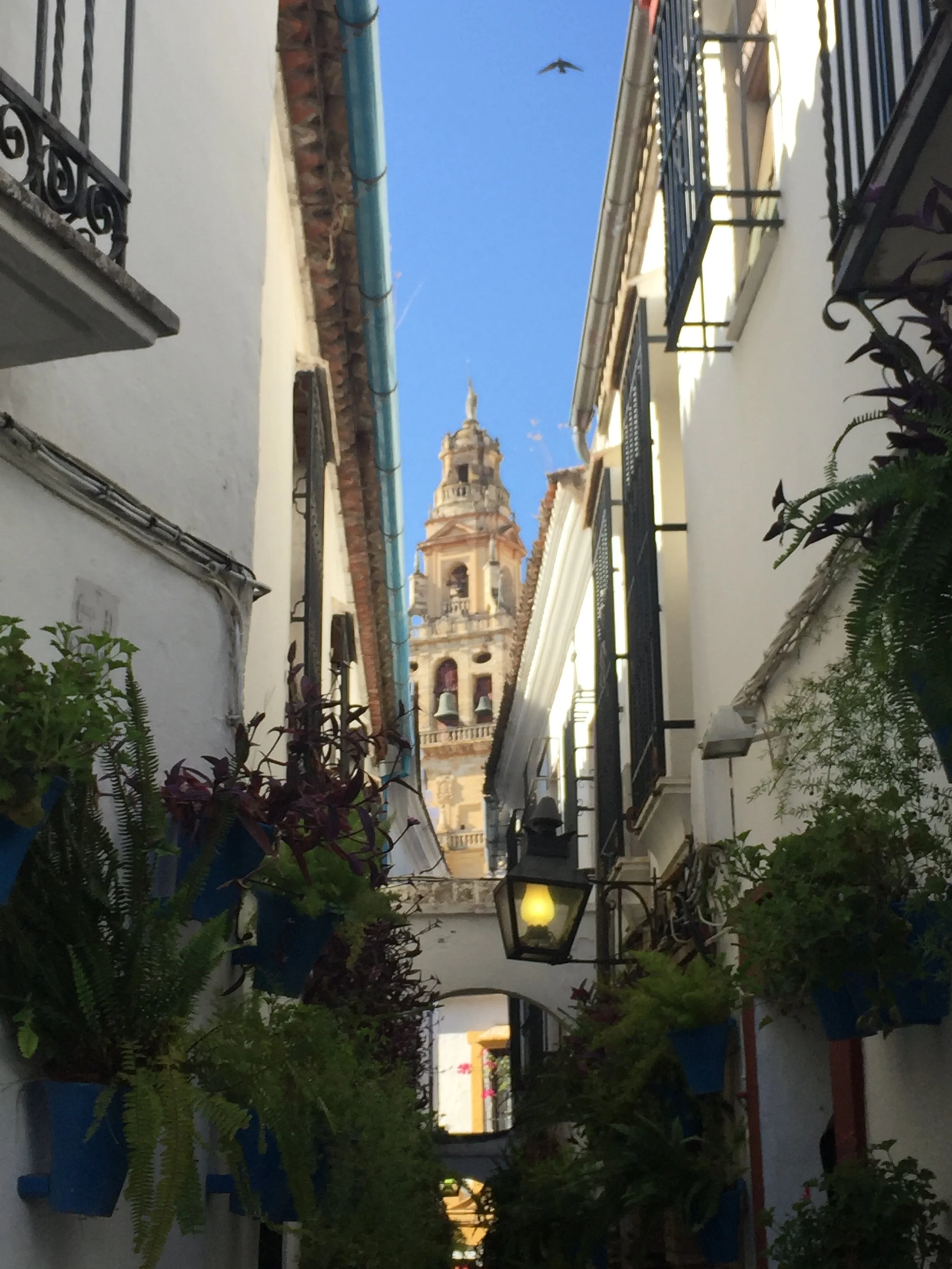 Belltower Cordoba.JPG