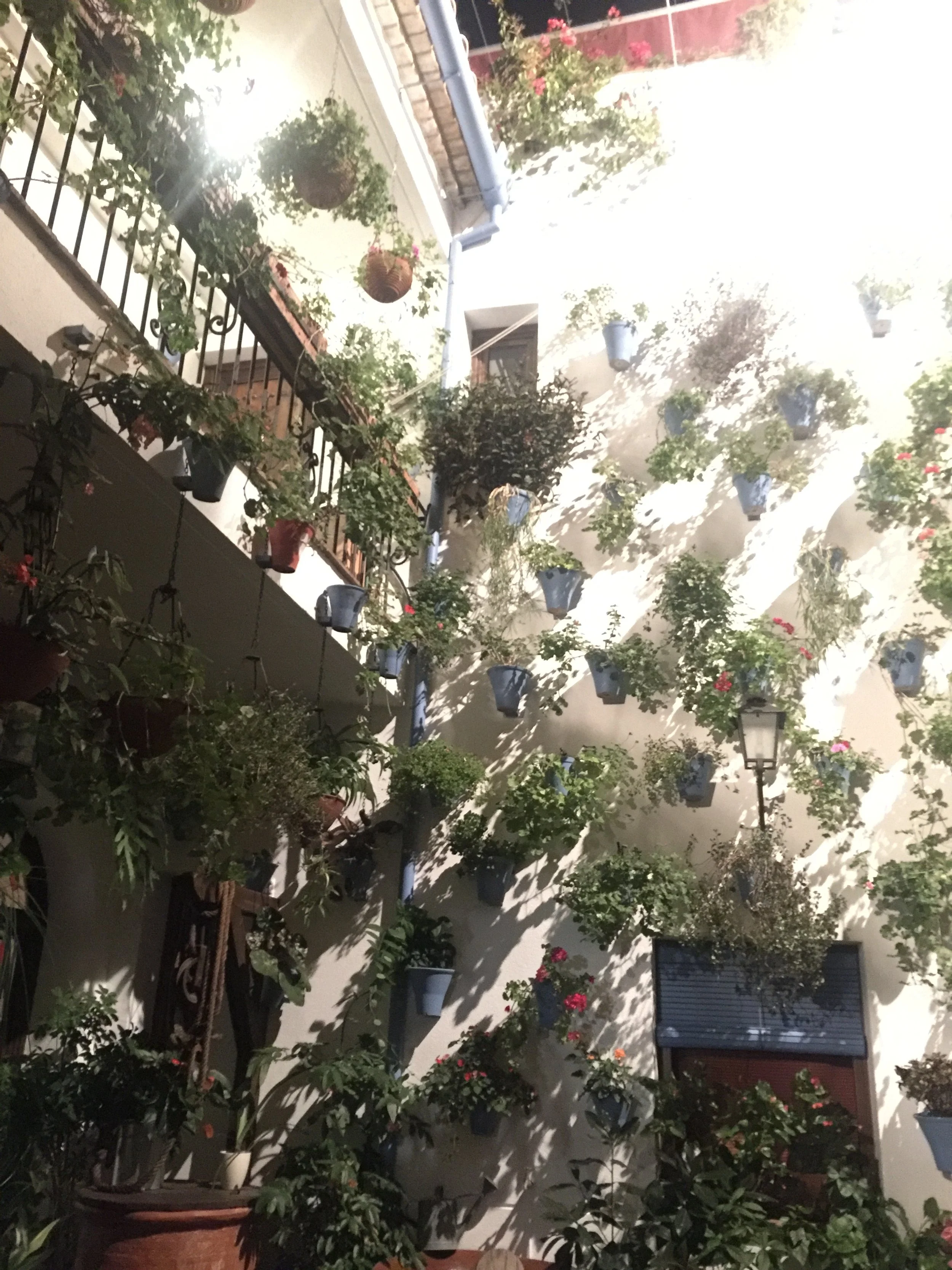 Patio Cordoba.JPG
