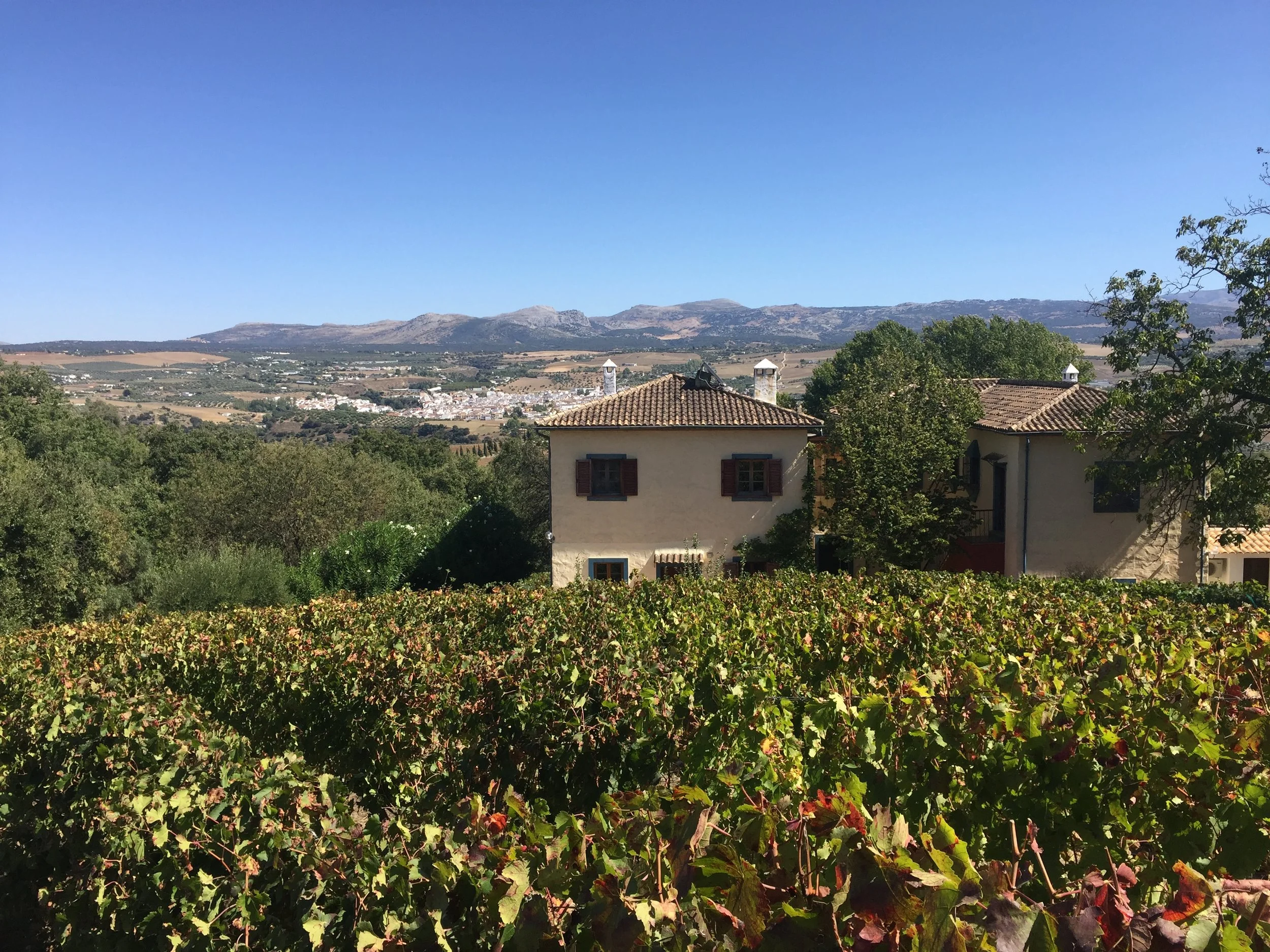 Wine Tasting_Sierras de Malaga.JPG