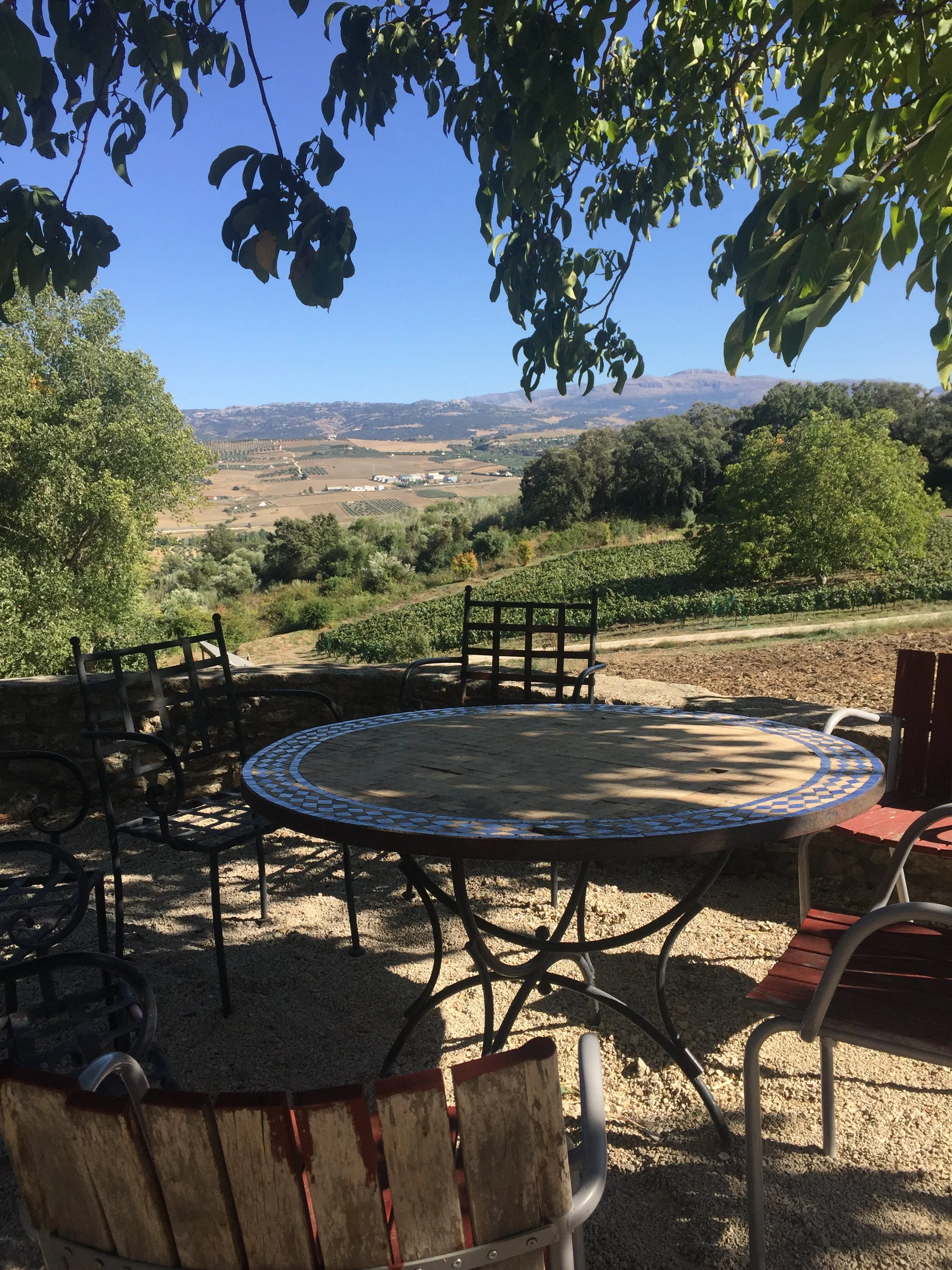 Bodega Kieninger.JPG