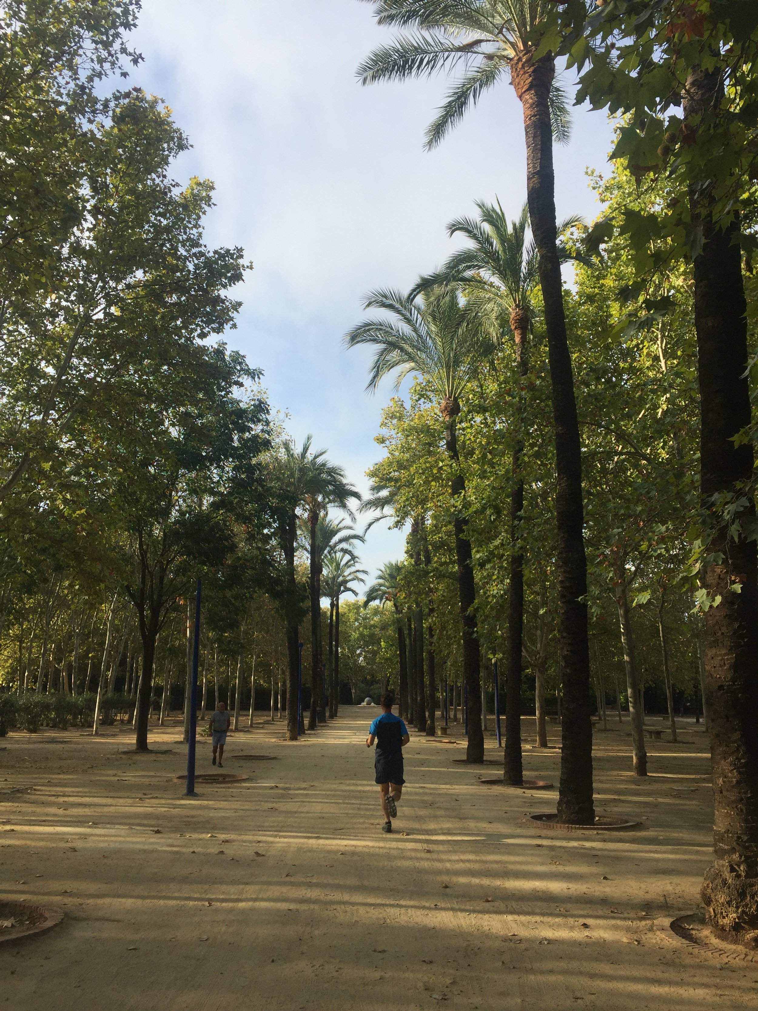 Jardines de Gualalquivir.JPG