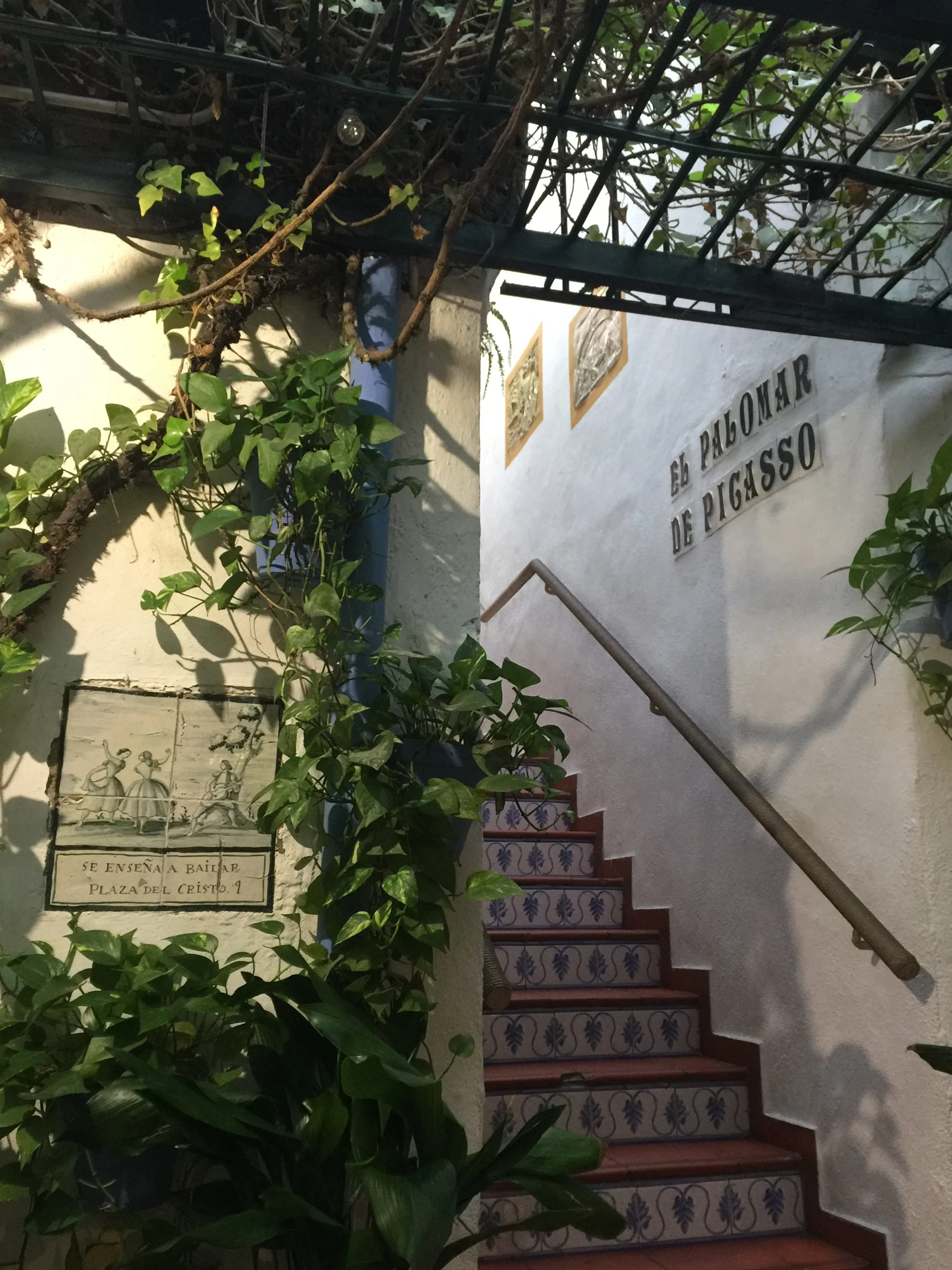 Museo Picasso Malaga.JPG