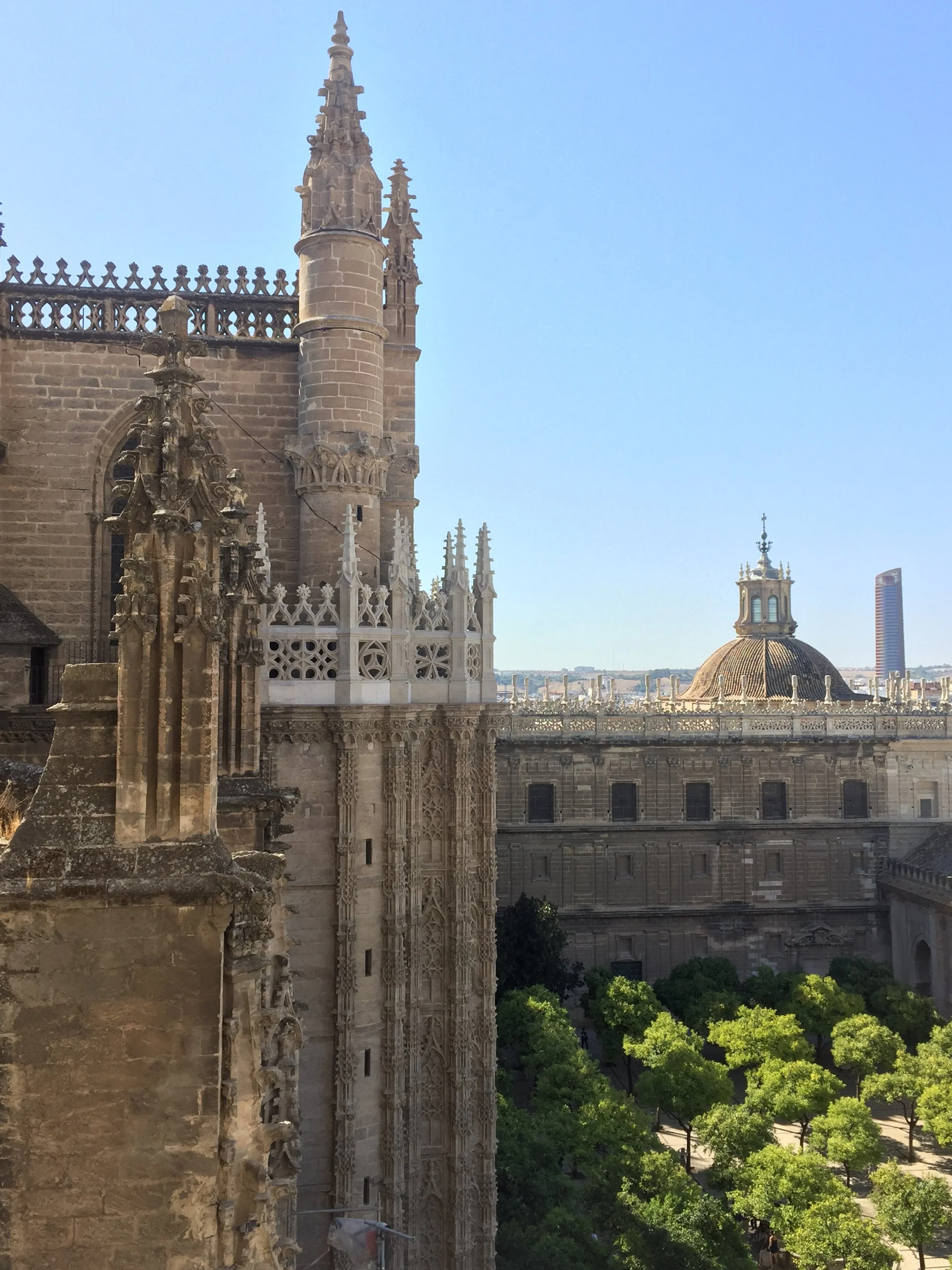 View from the Giralda.JPG