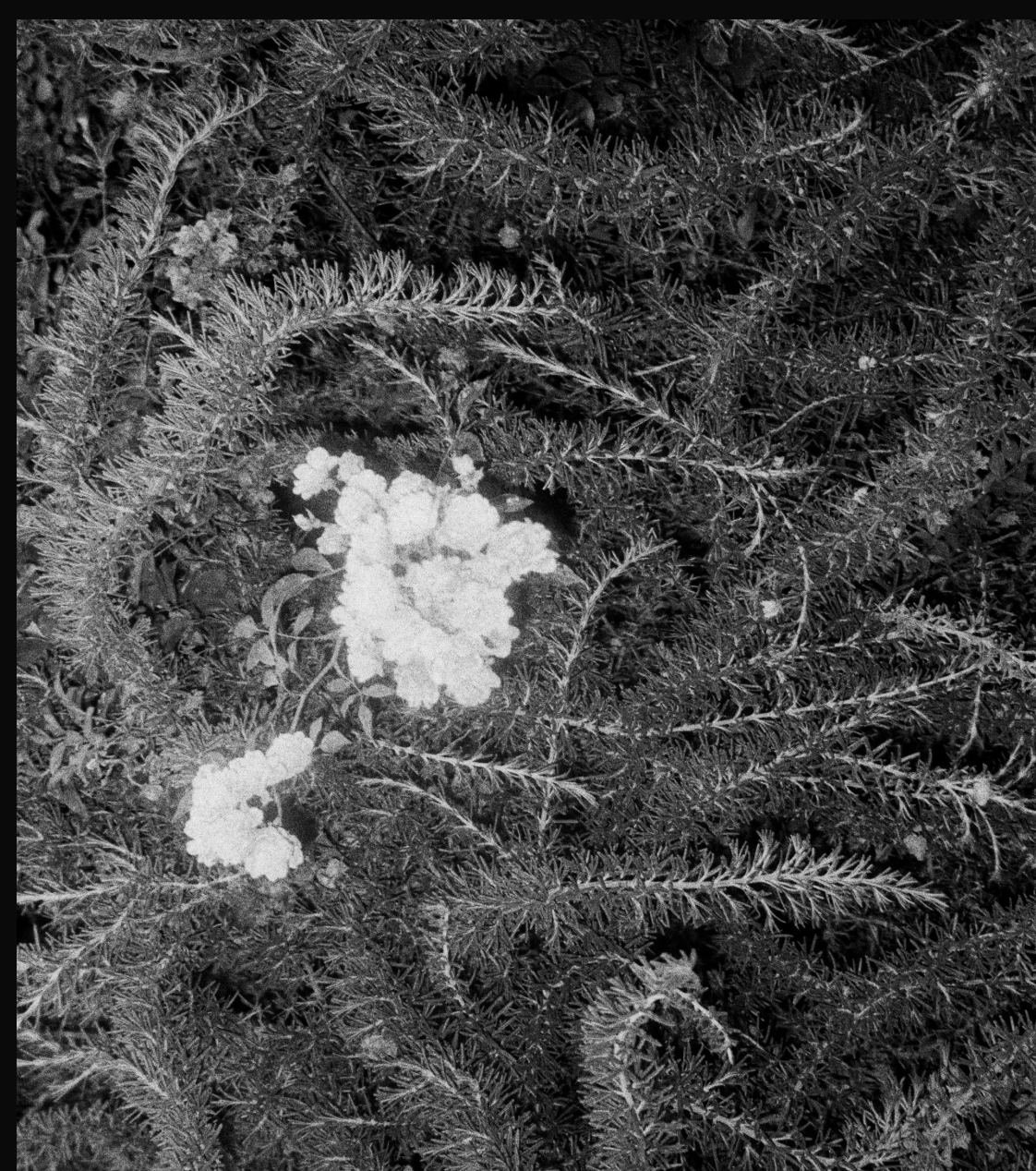 Screenshot 2026-04-24 alle 16.54.24.png