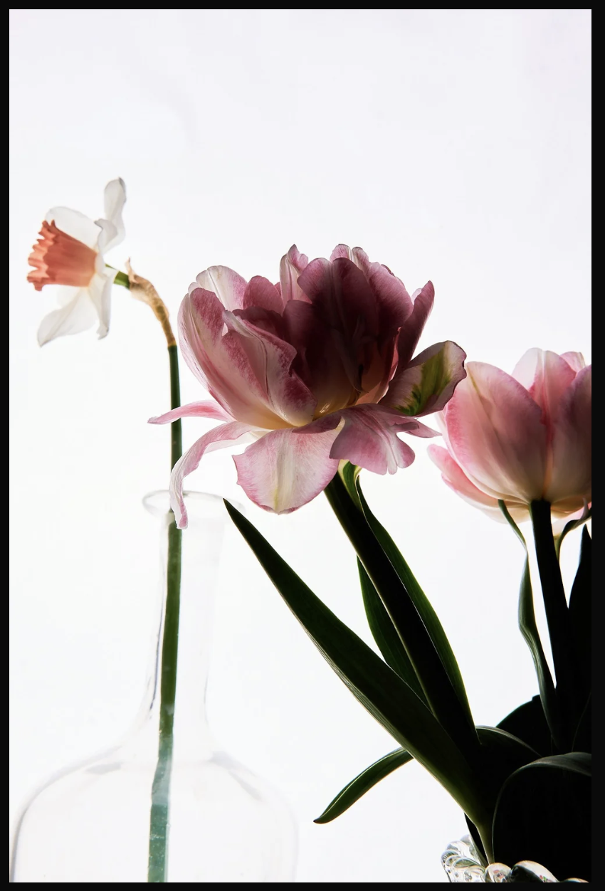 Screenshot 2026-04-24 alle 16.15.09.png