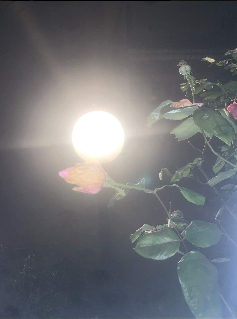 Screenshot 2026-04-15 alle 11.27.38.png