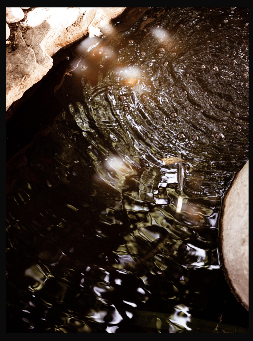 Screenshot 2026-04-24 alle 16.14.43.png