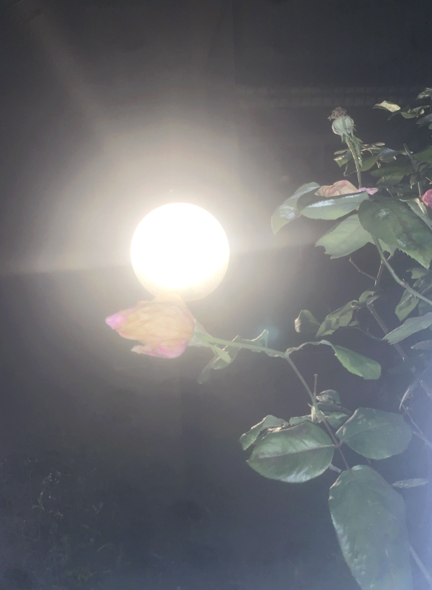 Screenshot 2026-04-24 alle 17.08.16.png