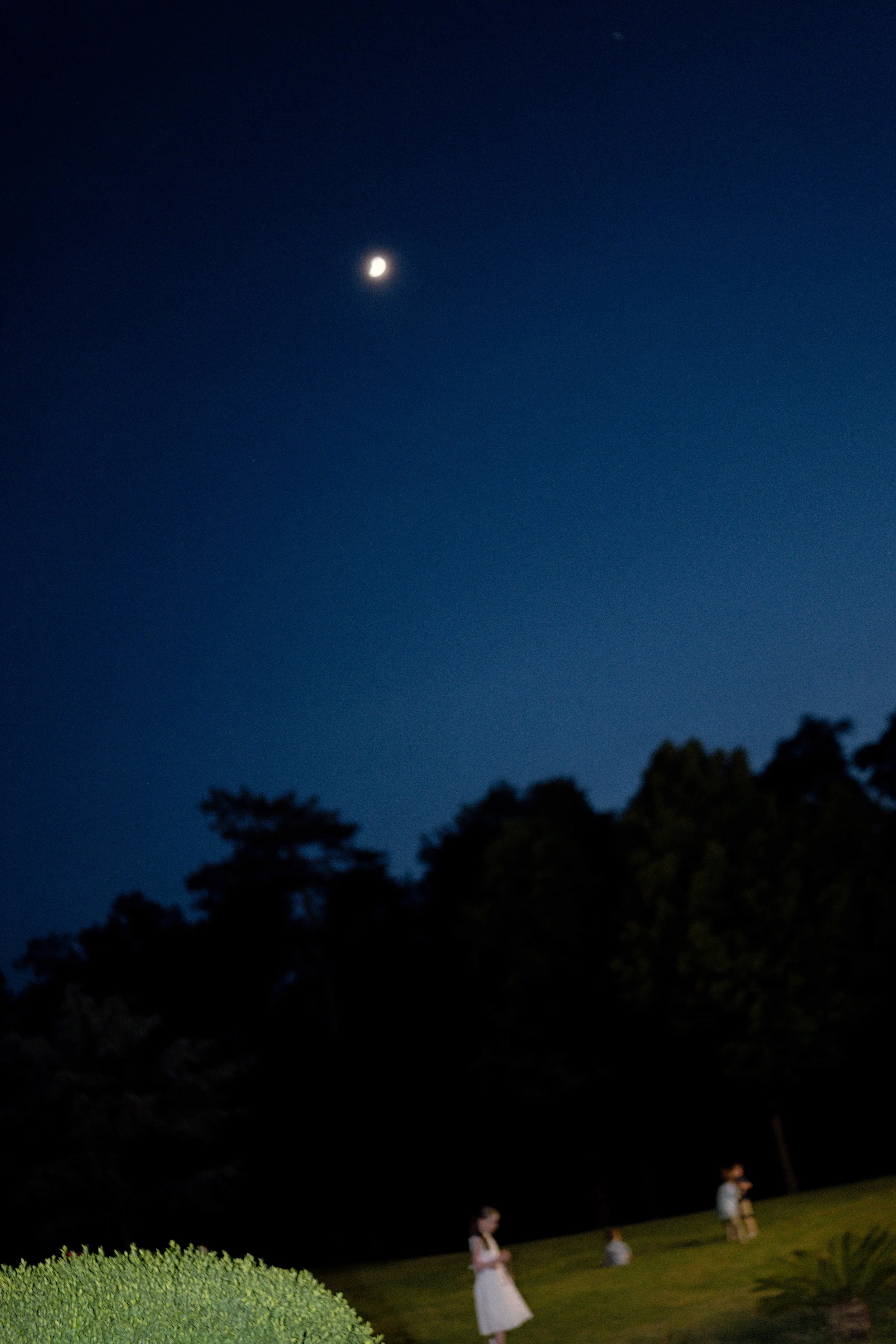 Eoin e Francesca-616.jpg