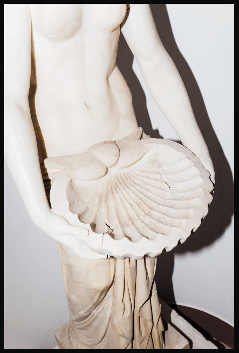 Screenshot 2026-04-24 alle 16.55.28.png