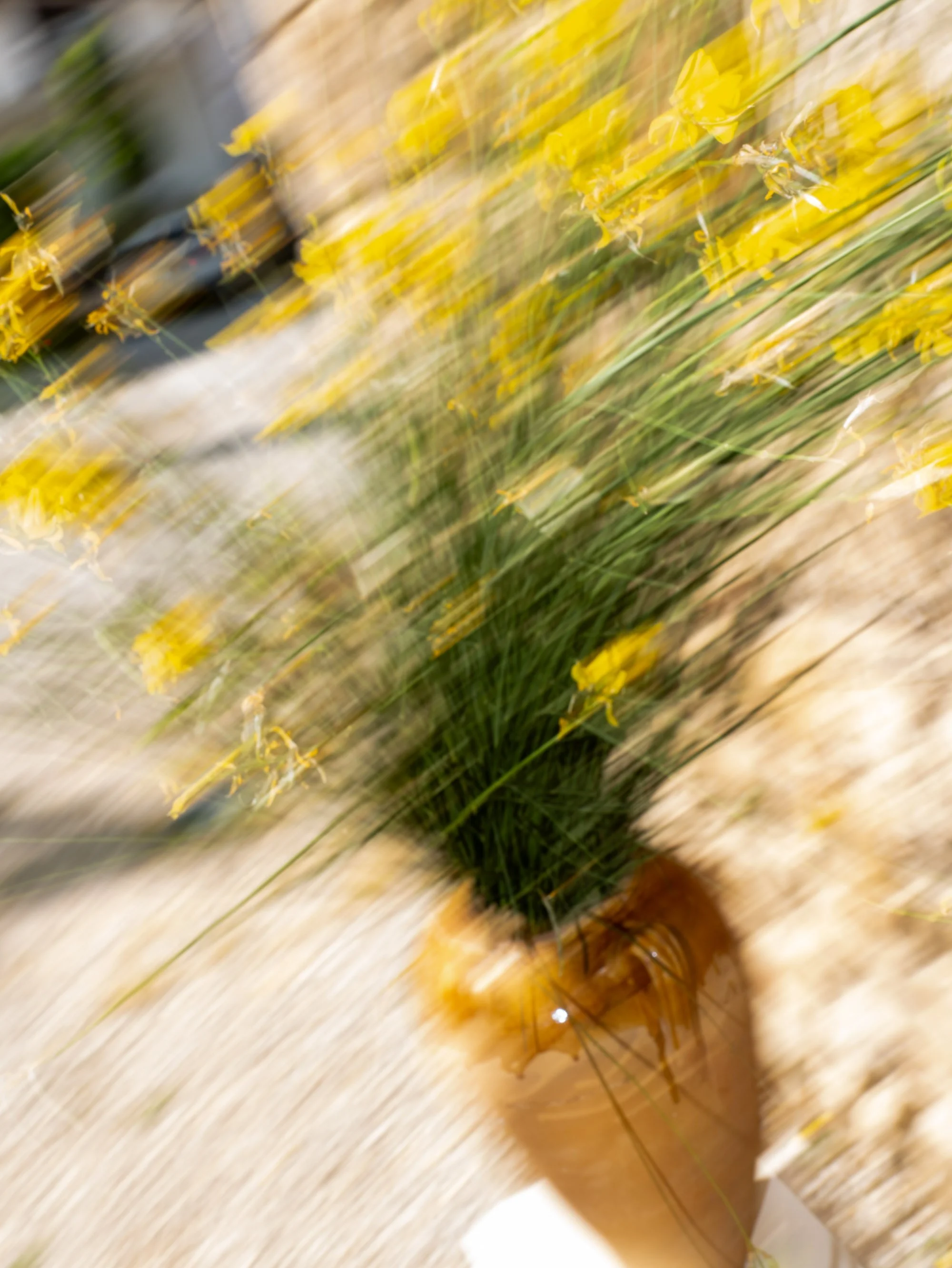 Federico e Martina-361.jpg