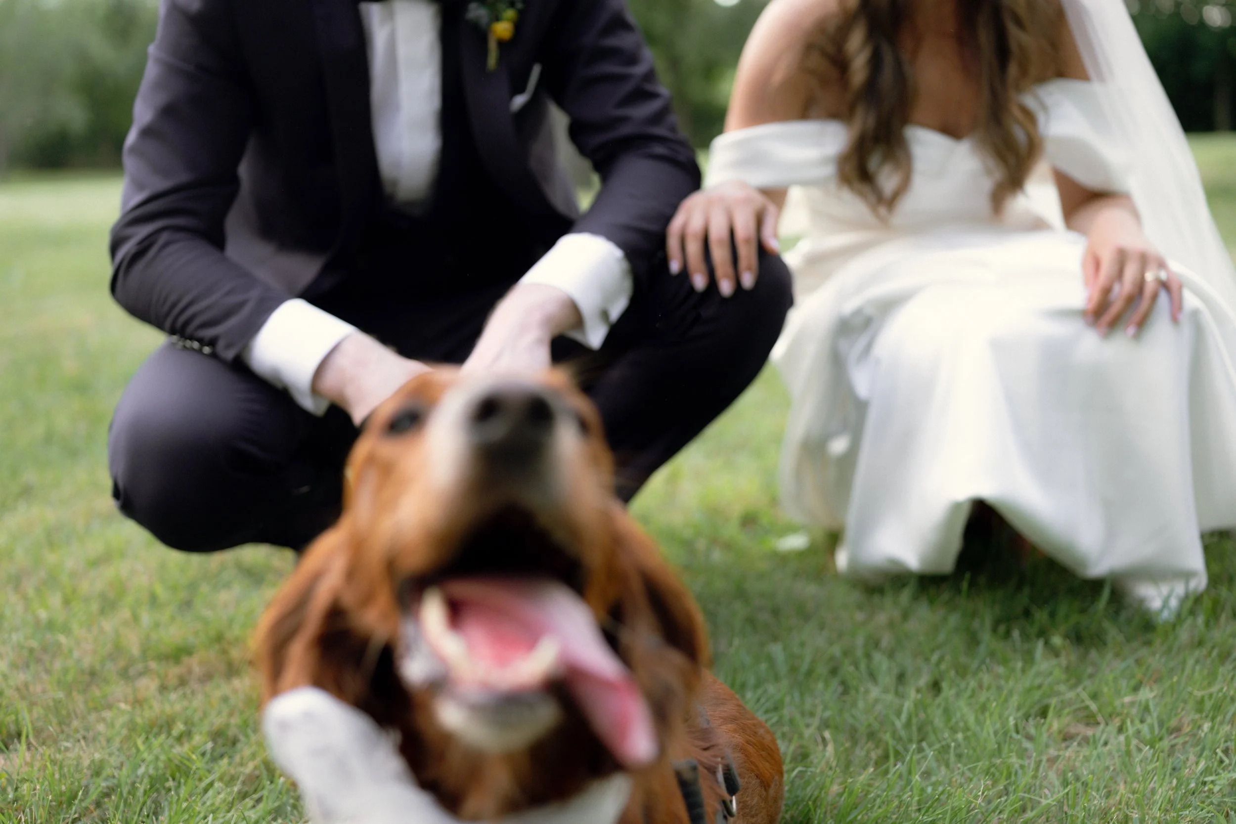 Eoin e Francesca-381.jpg