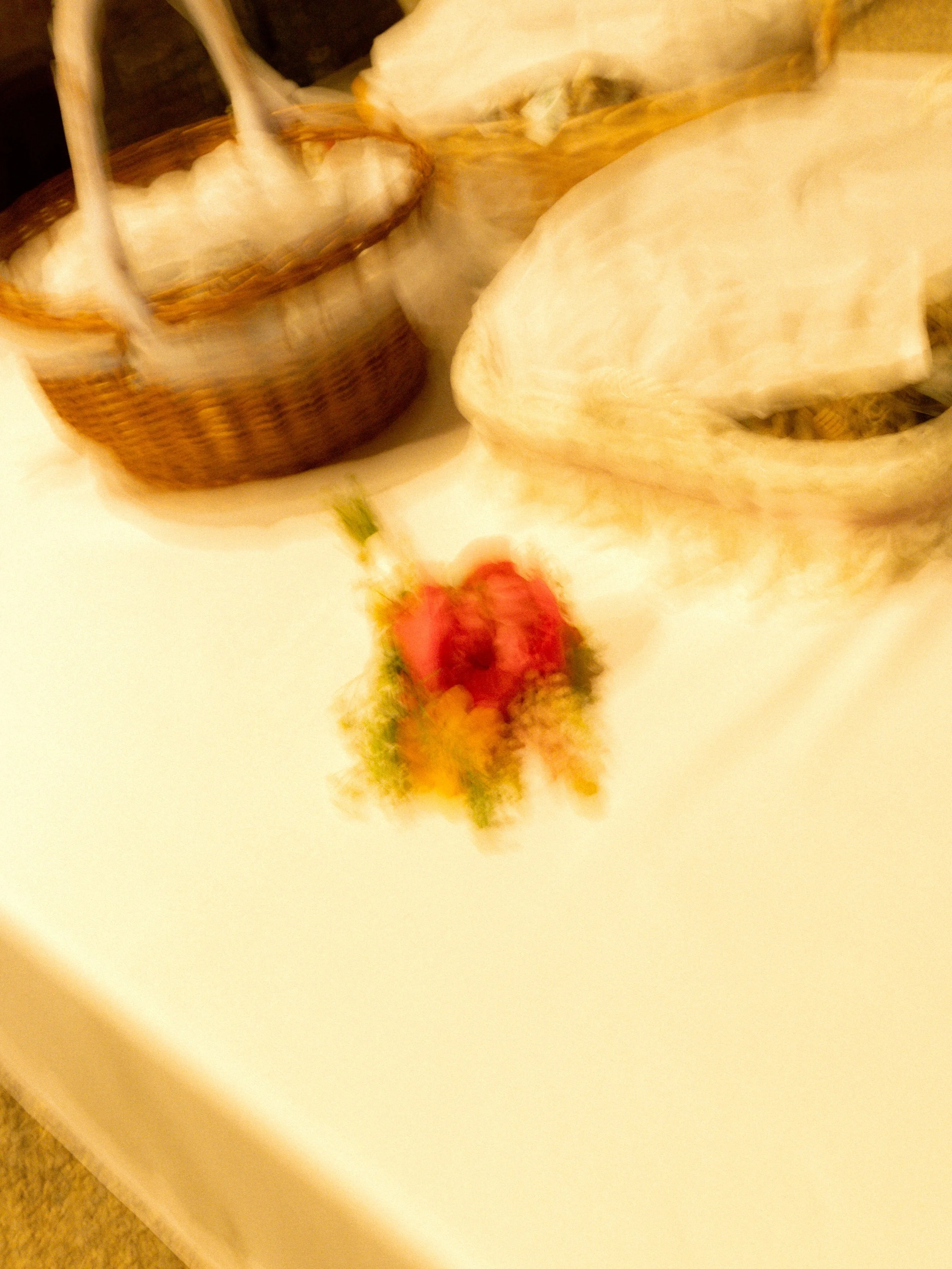 Eoin e Francesca-809.jpg