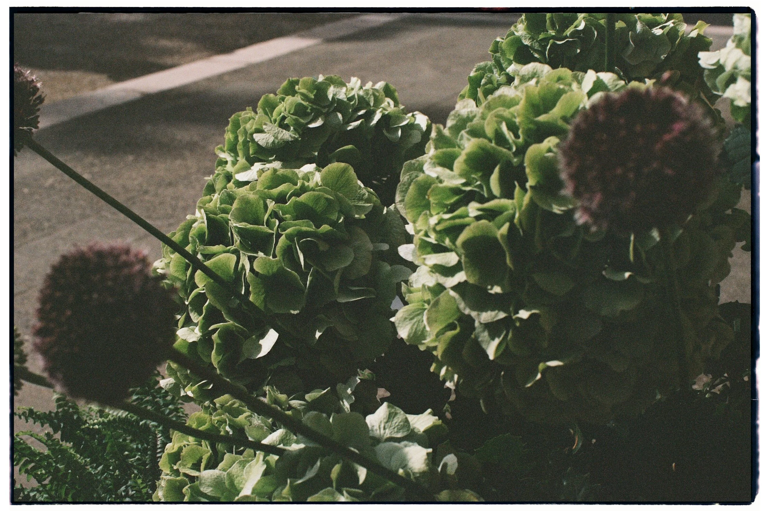 Gabriele e Valentina_Film_04.jpg