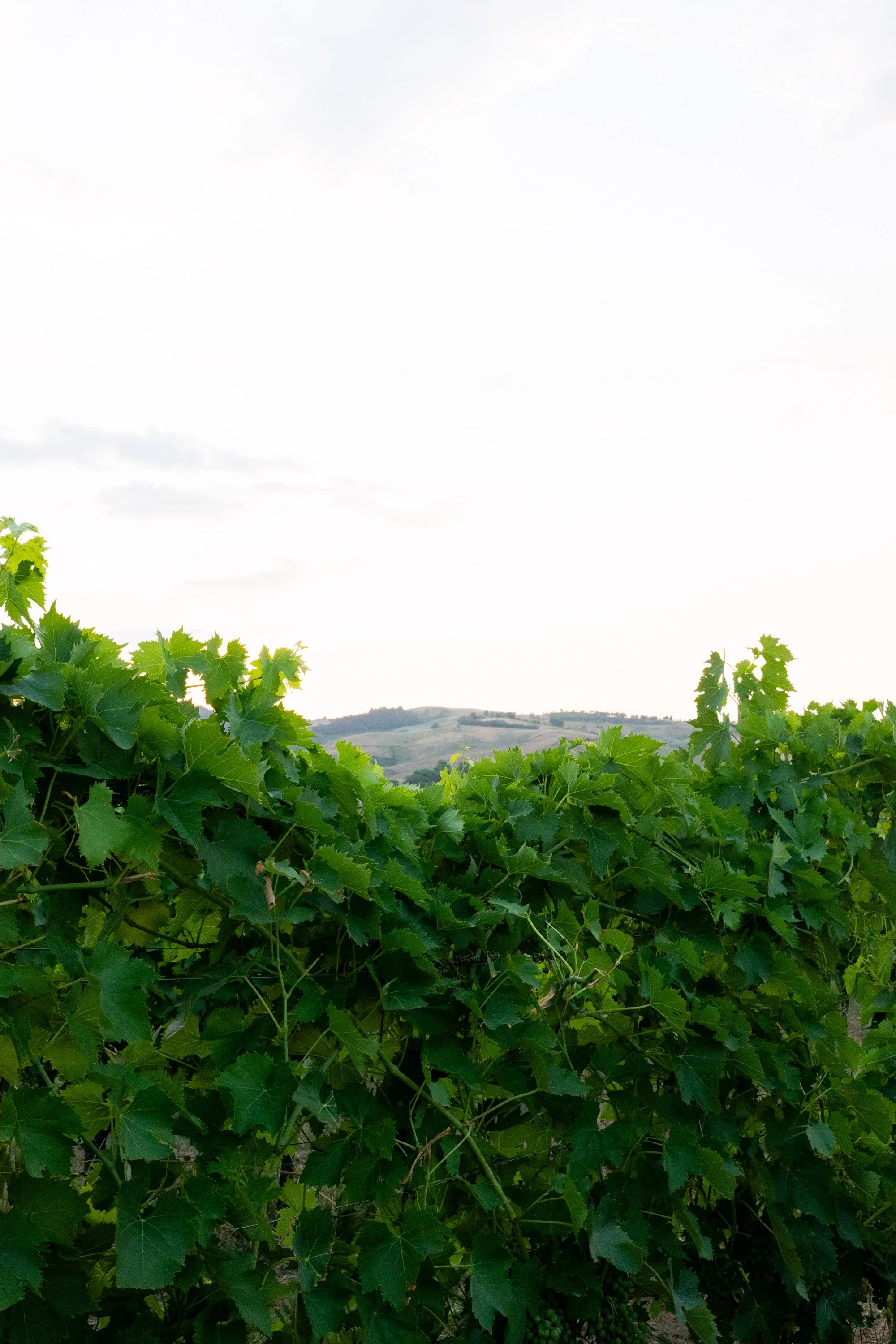 Andrea e Britt-889.jpg