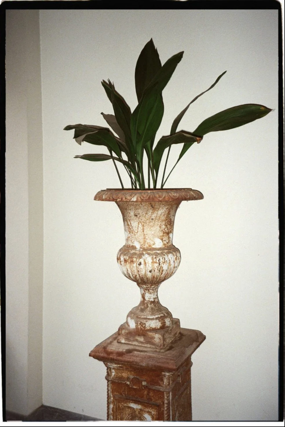 Screenshot 2026-04-24 alle 16.56.17.png