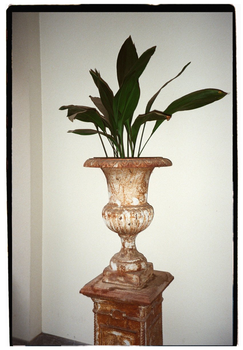 Screenshot 2026-01-26 alle 10.26.03.jpg