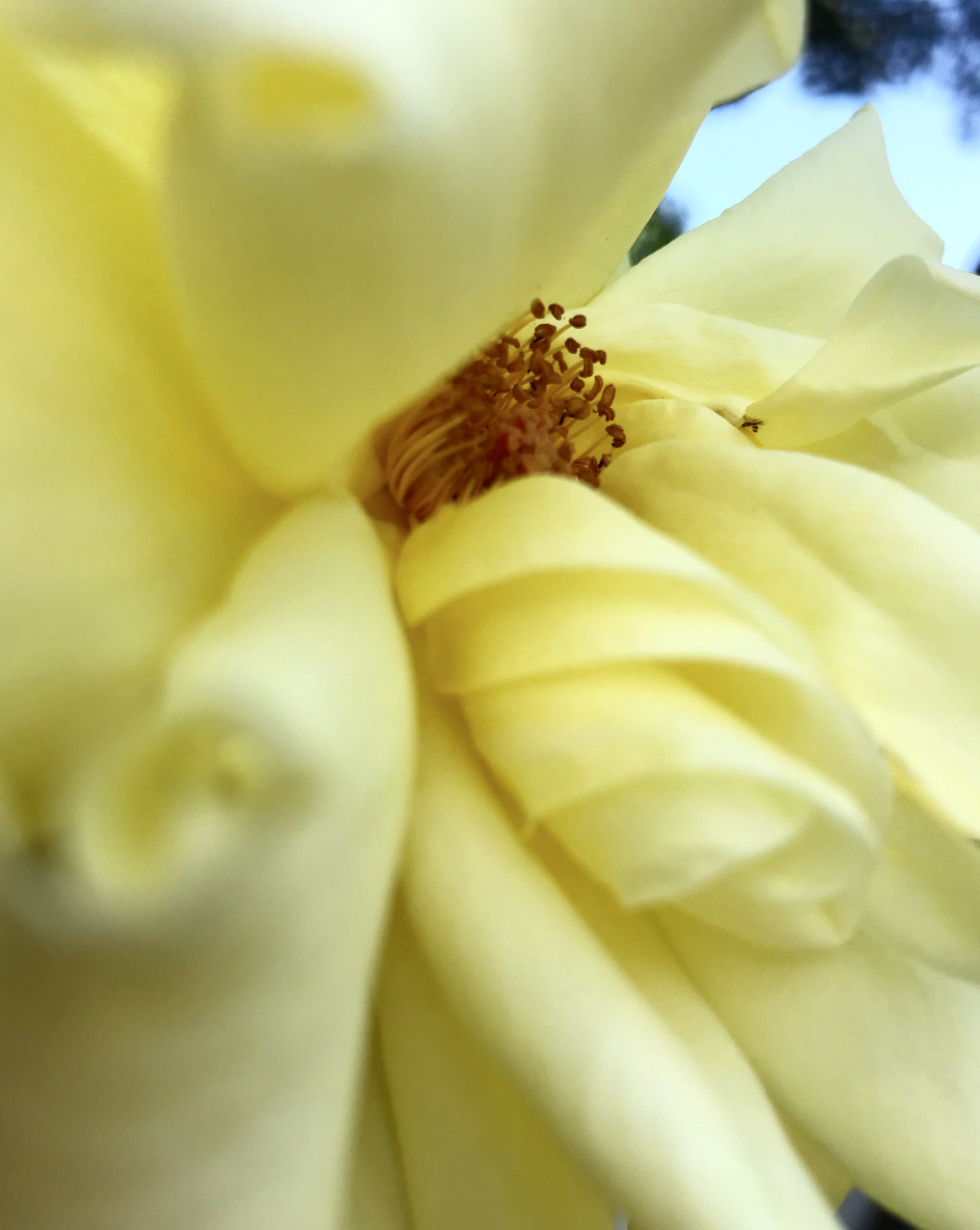 Screenshot 2026-04-15 alle 11.30.56.png