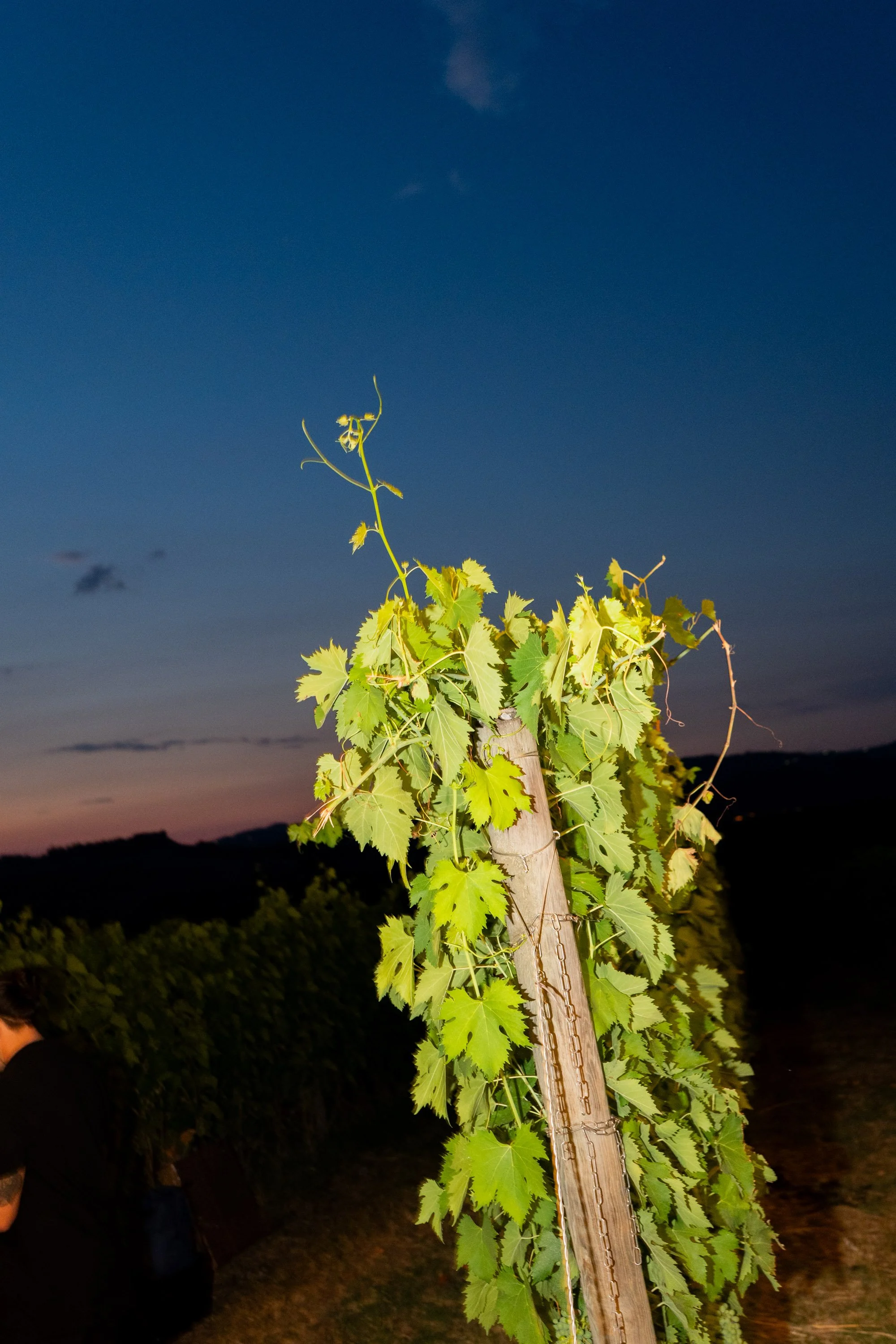 Andrea e Britt-1056.jpg