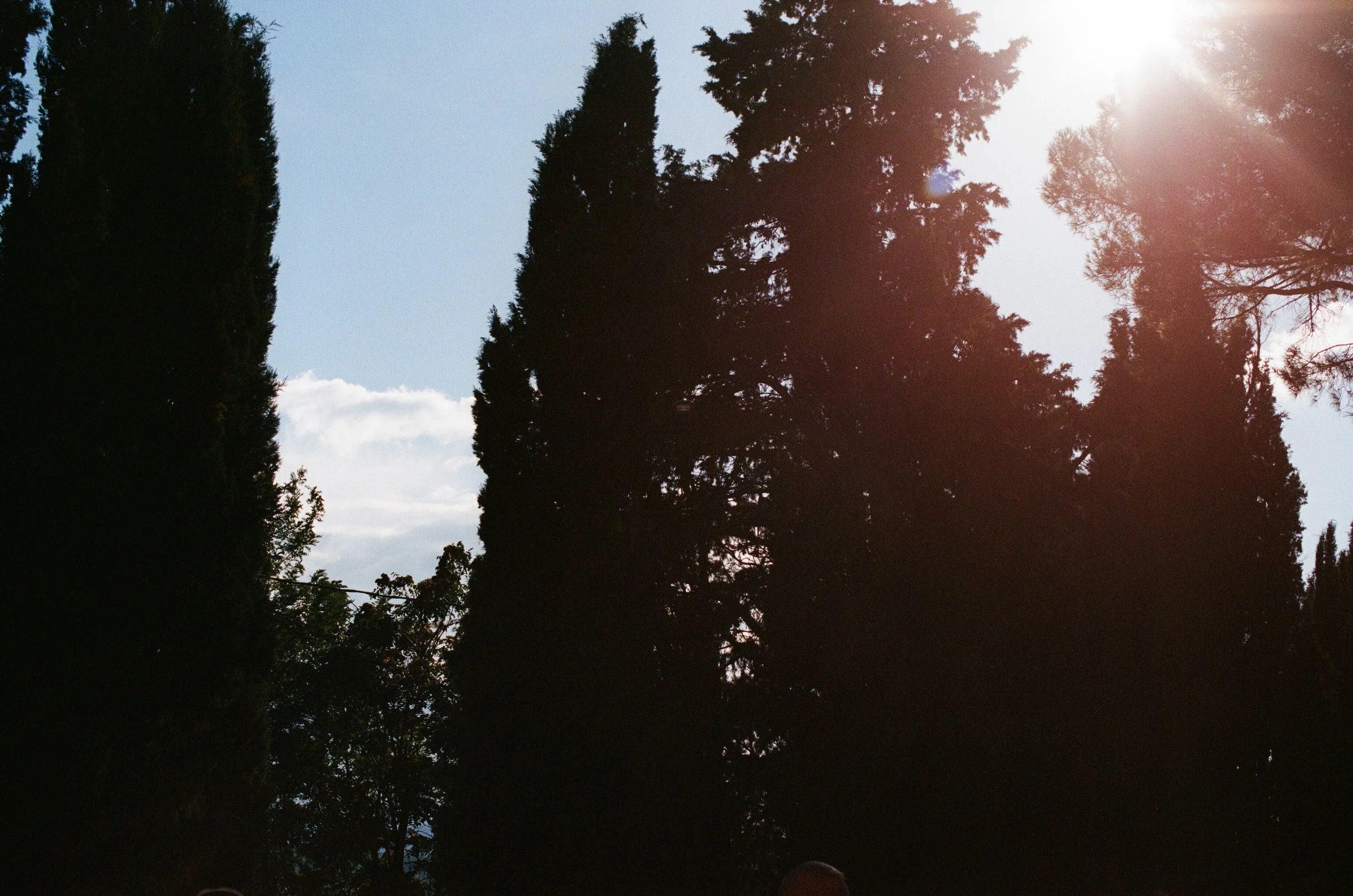 0019_20.jpg