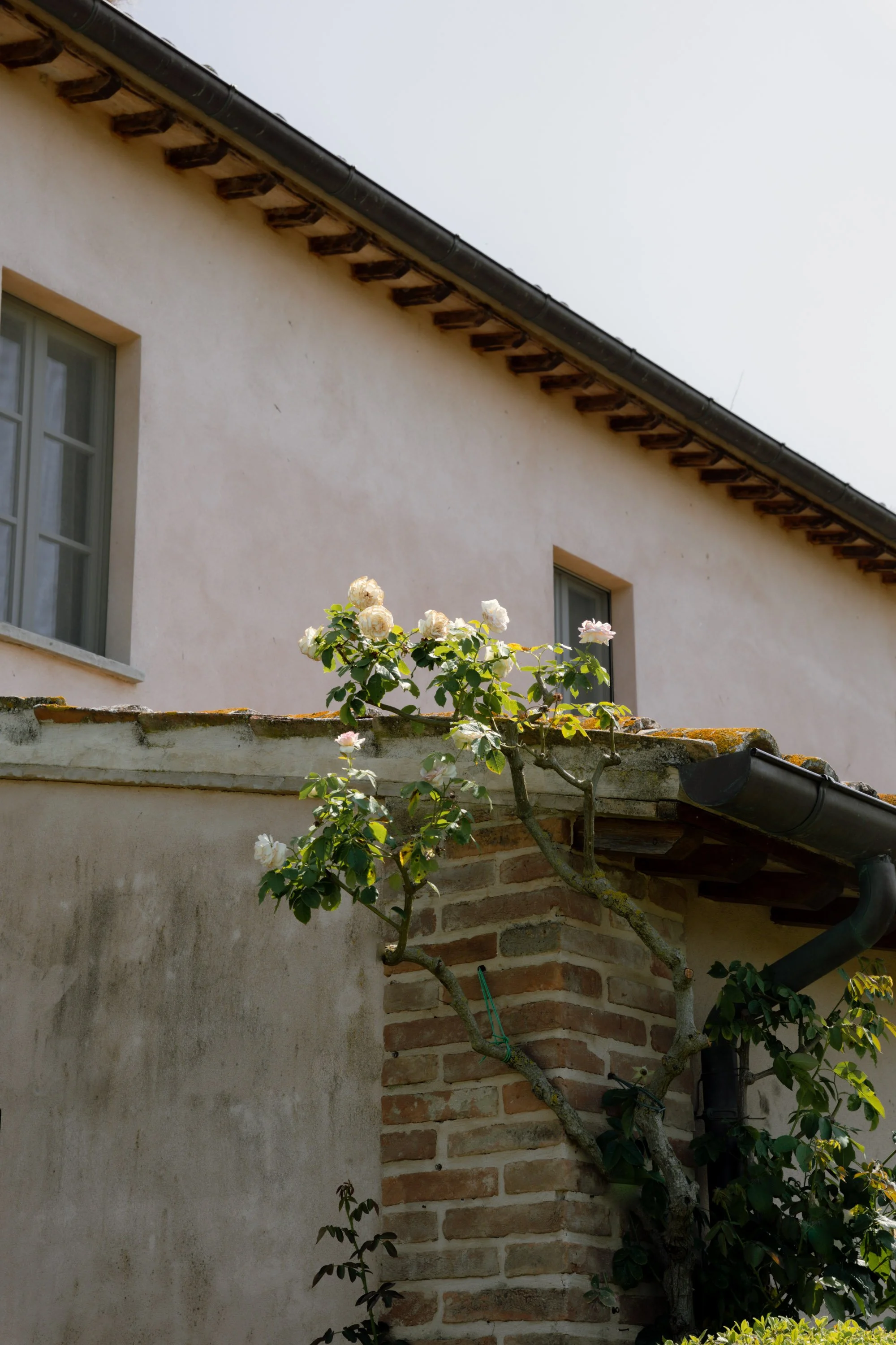 Andrea e Britt-86.jpg