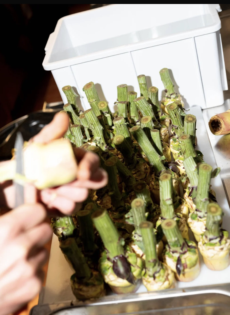 Screenshot 2026-04-24 alle 16.11.45.png