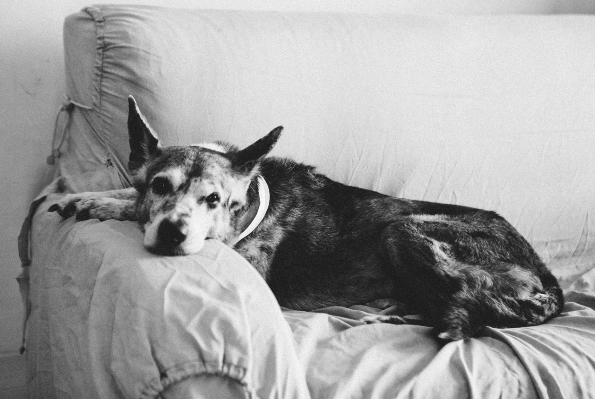 Screenshot 2026-02-06 alle 11.56.51.png