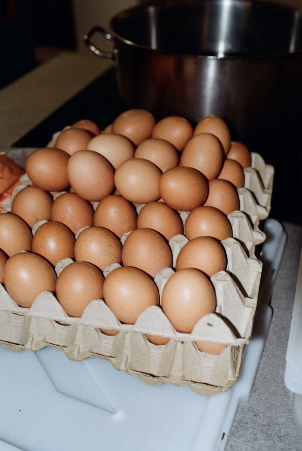 Screenshot 2026-04-24 alle 17.08.22.png