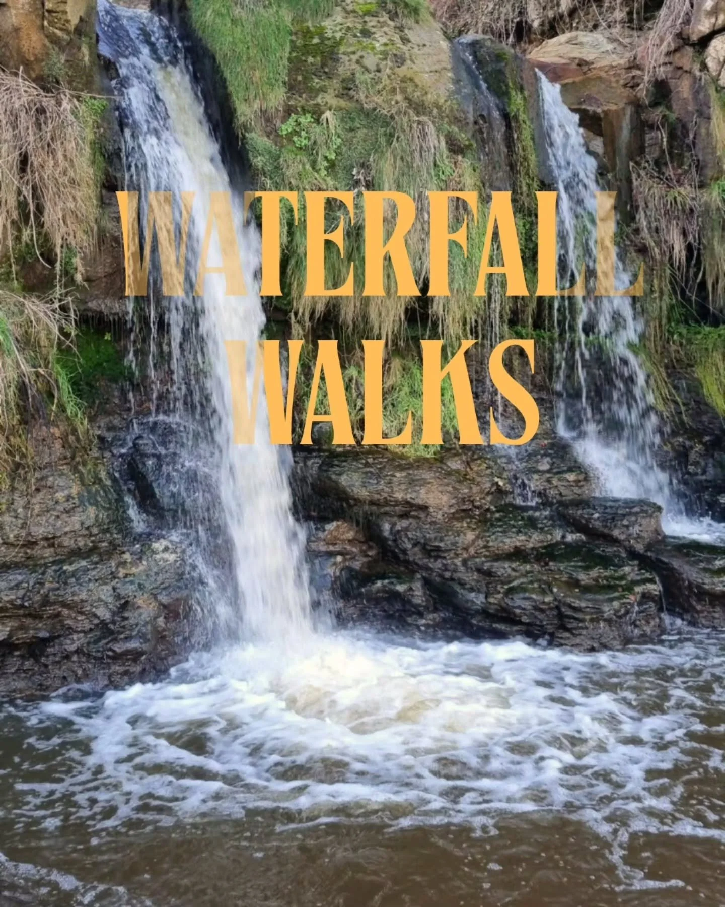 Waterfall walks all within a 30 min drive of @thelodgeburniston - woodland trails, sea air and a well-earned pint at the end 🍻

📍 Hayburn Wyke

A secret waterfall, spilling onto a pebble beach.

👣 0.6 mile woodland walk (15&ndash;20 mins each way)