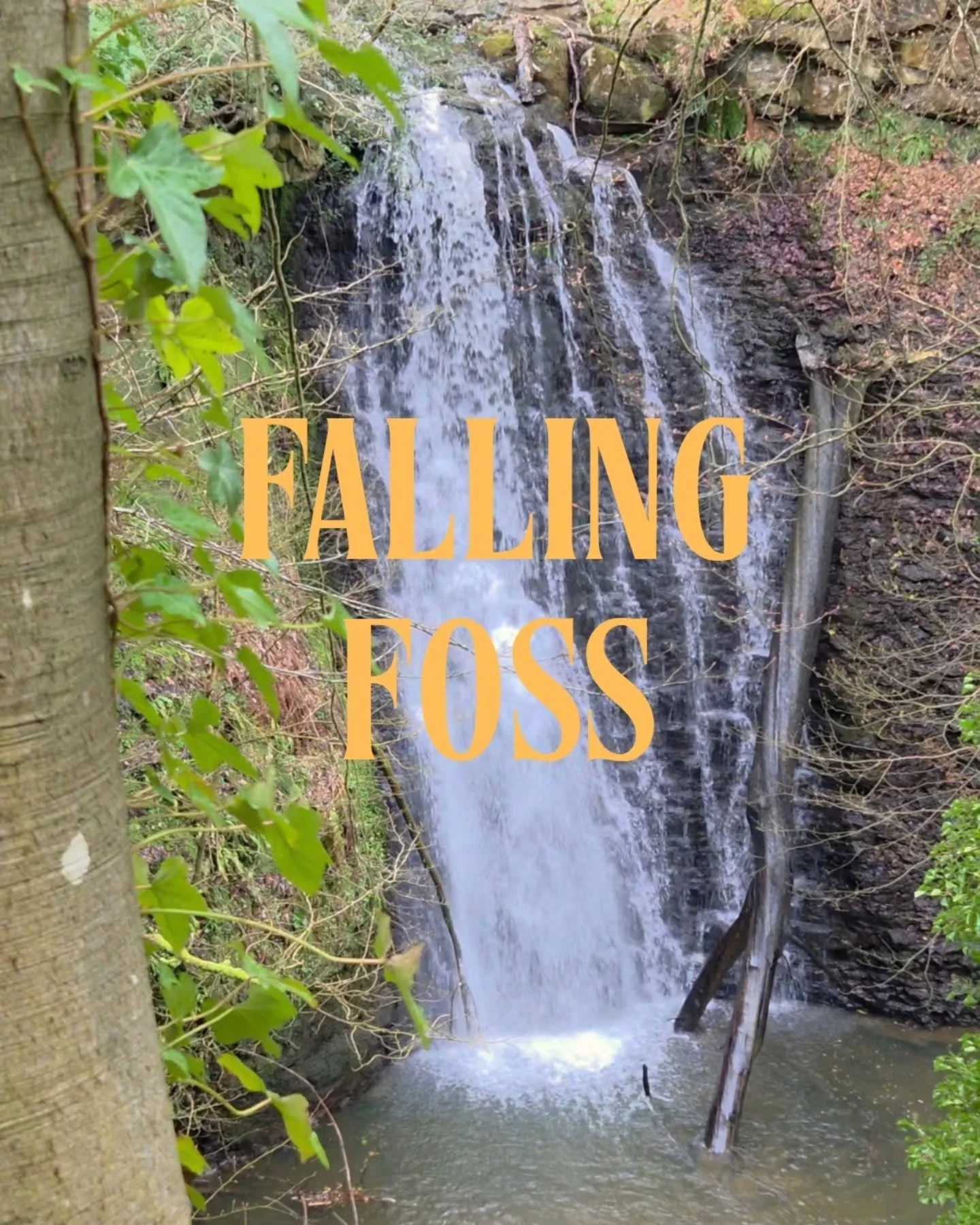 We absolutely love visiting Falling Foss - A stunning 30ft waterfall tucked away in ancient woodland just outside Whitby. 

A short 10-minute walk towards Little Beck brings you to the Hermitage, an 18th-century cave carved into the rock. At the top,