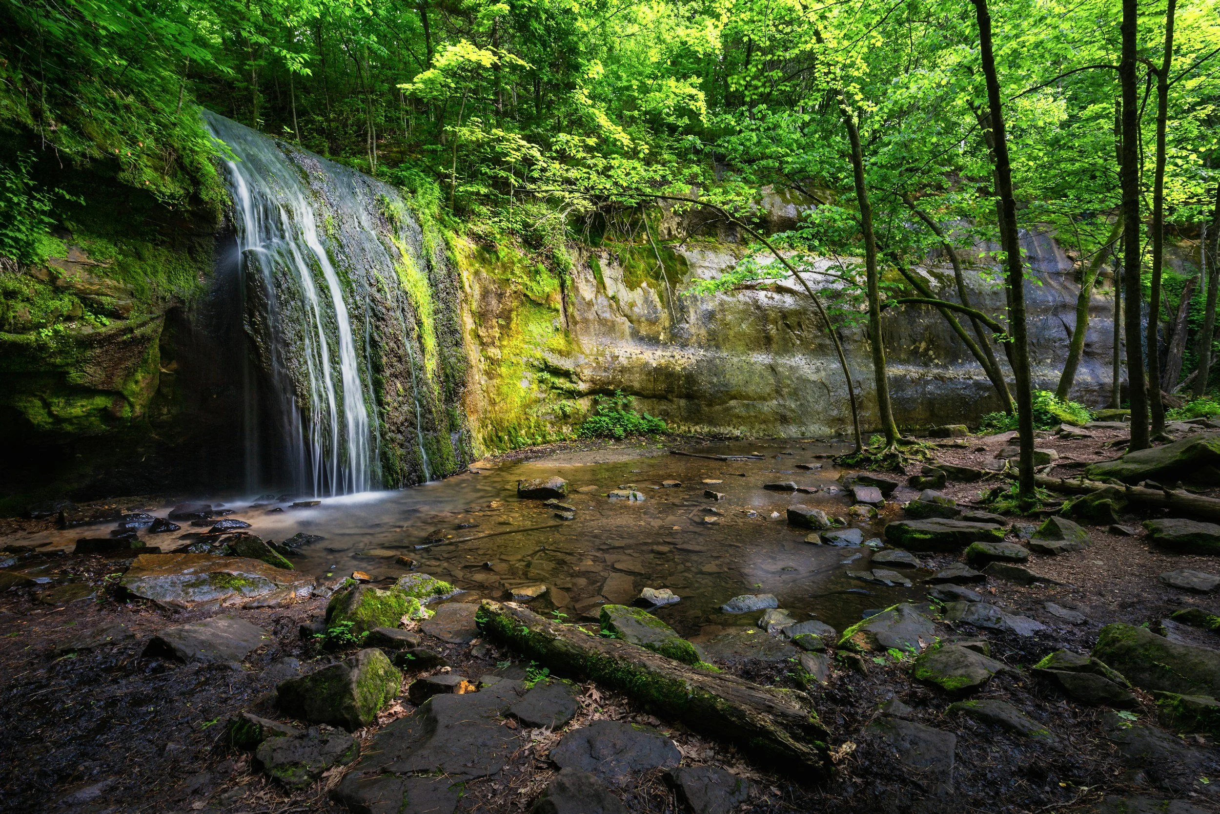 A small waterfall flowing over moss-covered rocks in a lush green forest with sunlight filtering through the trees.