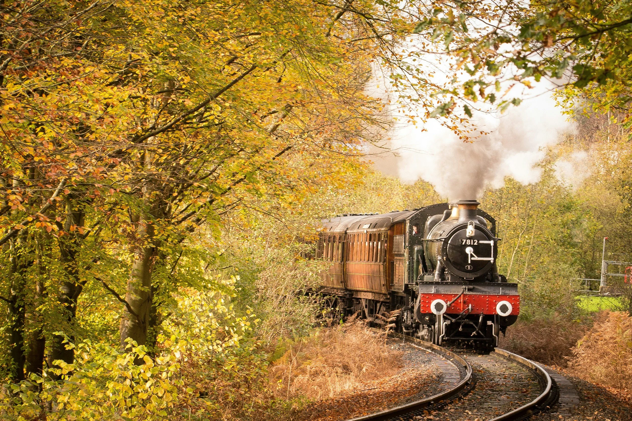 Steam train on the North Yorkshire Moors Railway through autumn woodland