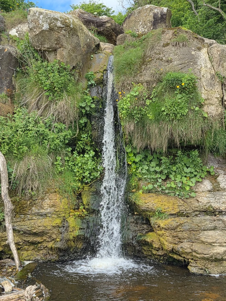 Walking to Hayburn Wyke Waterfall from Burniston