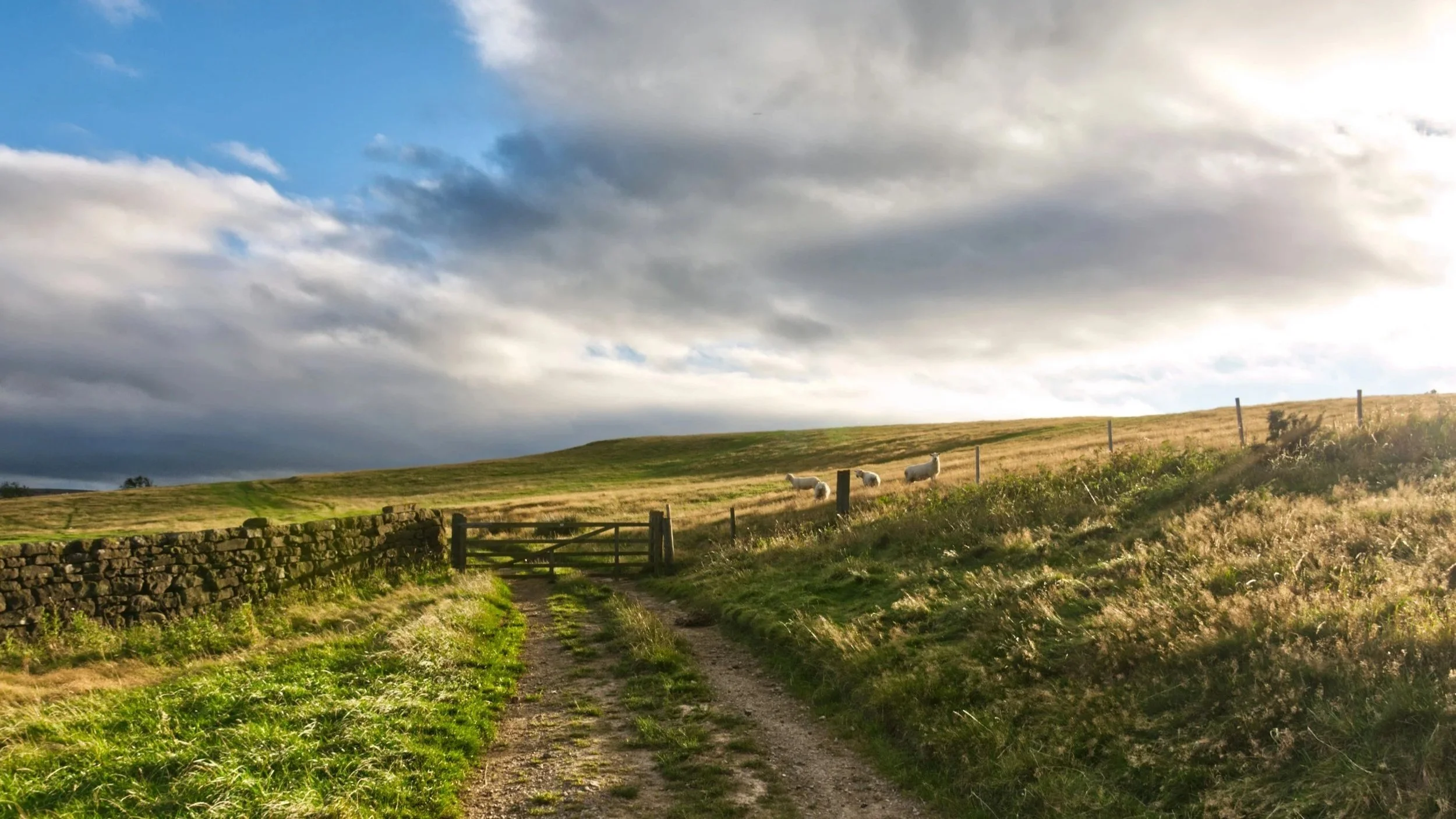 A rural landscape with a dirt path leading through grassy fields, a stone wall, and sheep grazing in the distance under a partly cloudy sky.