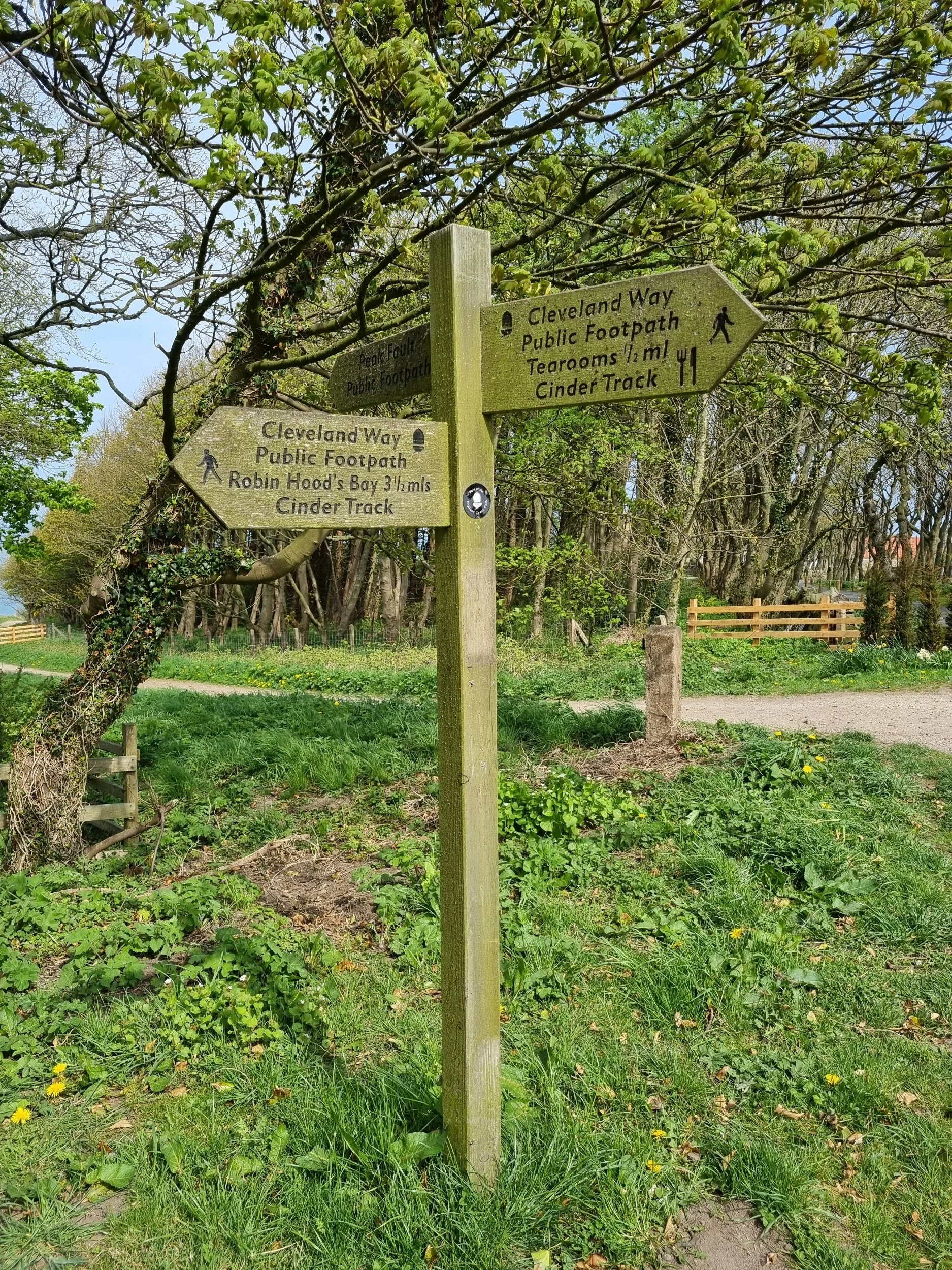 Cleveland Way signpost at Ravenscar pointing towards Robin Hood’s Bay.