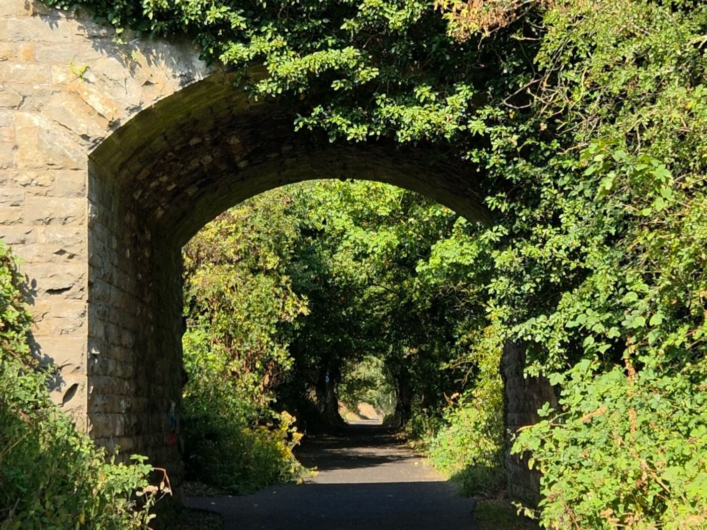 Cinder Track walking and cycling route near Burniston in North Yorkshire