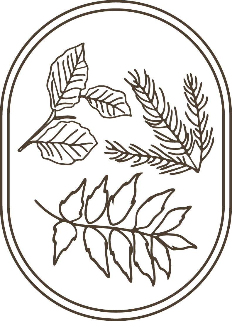 Outline drawing of three different types of leaves inside an oval frame.