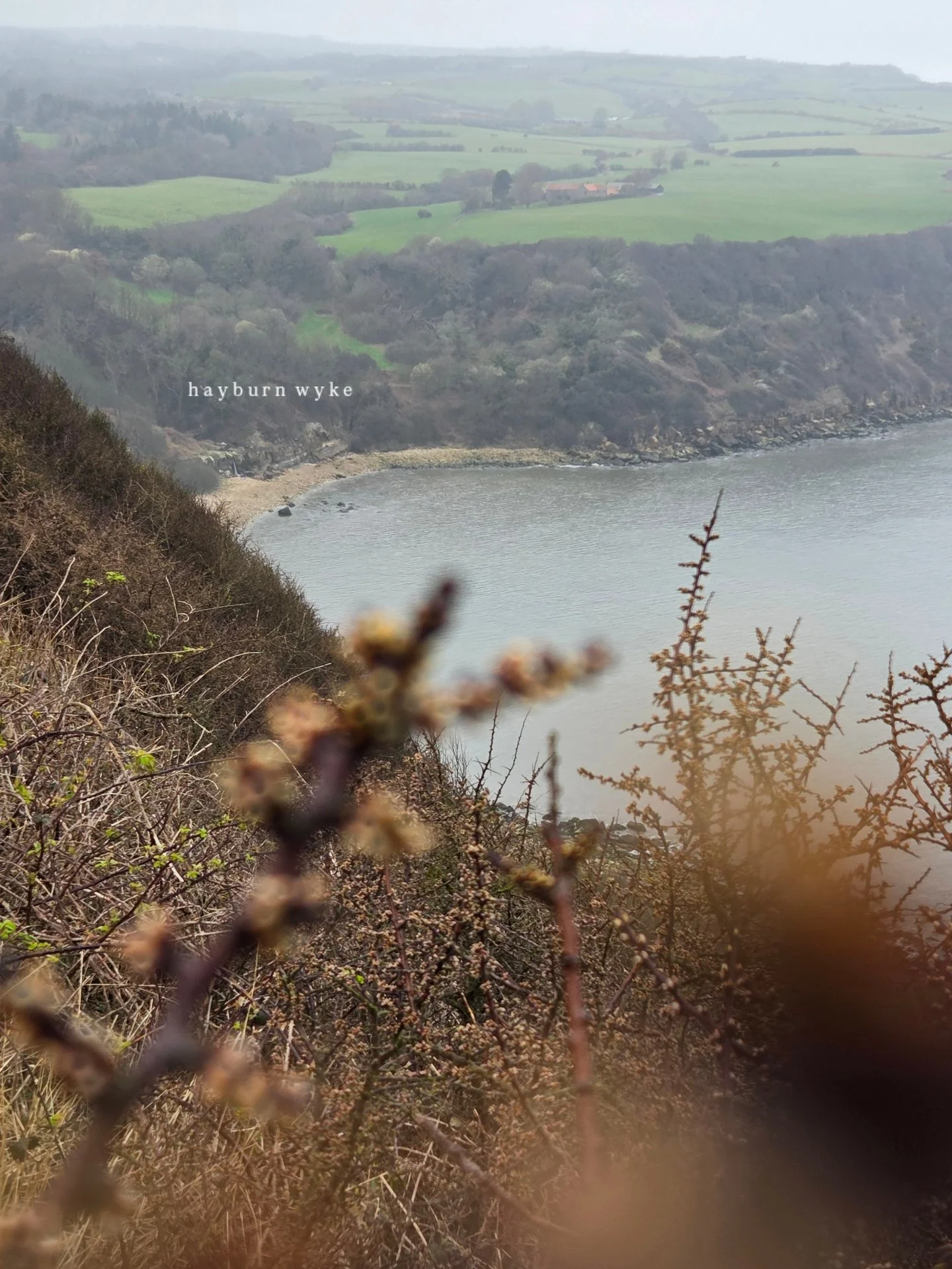 View of Hayburn Wyke cove from the Cleveland Way on the North Yorkshire coast