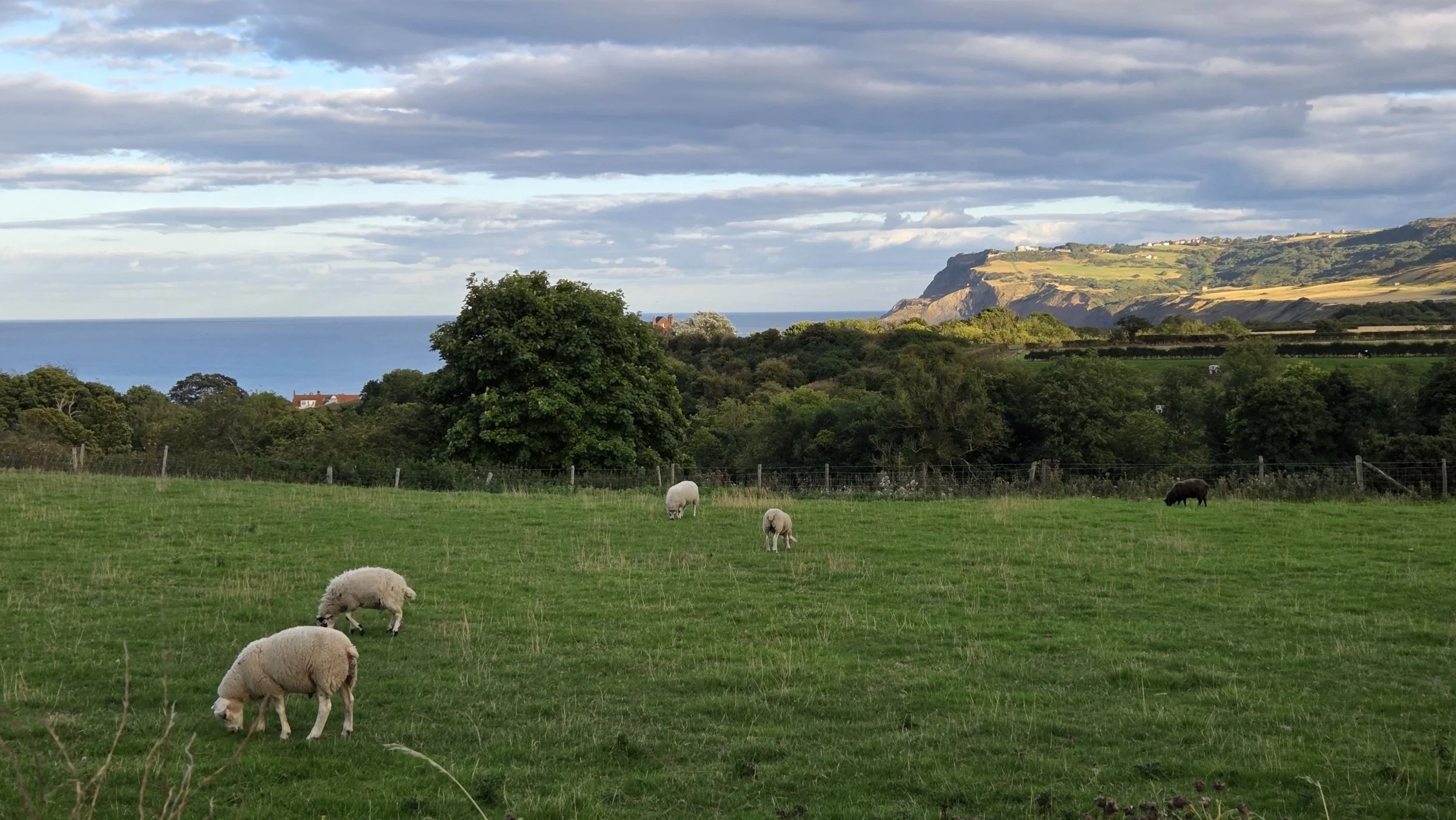 View towards Ravenscar across fields from Fylingdales.