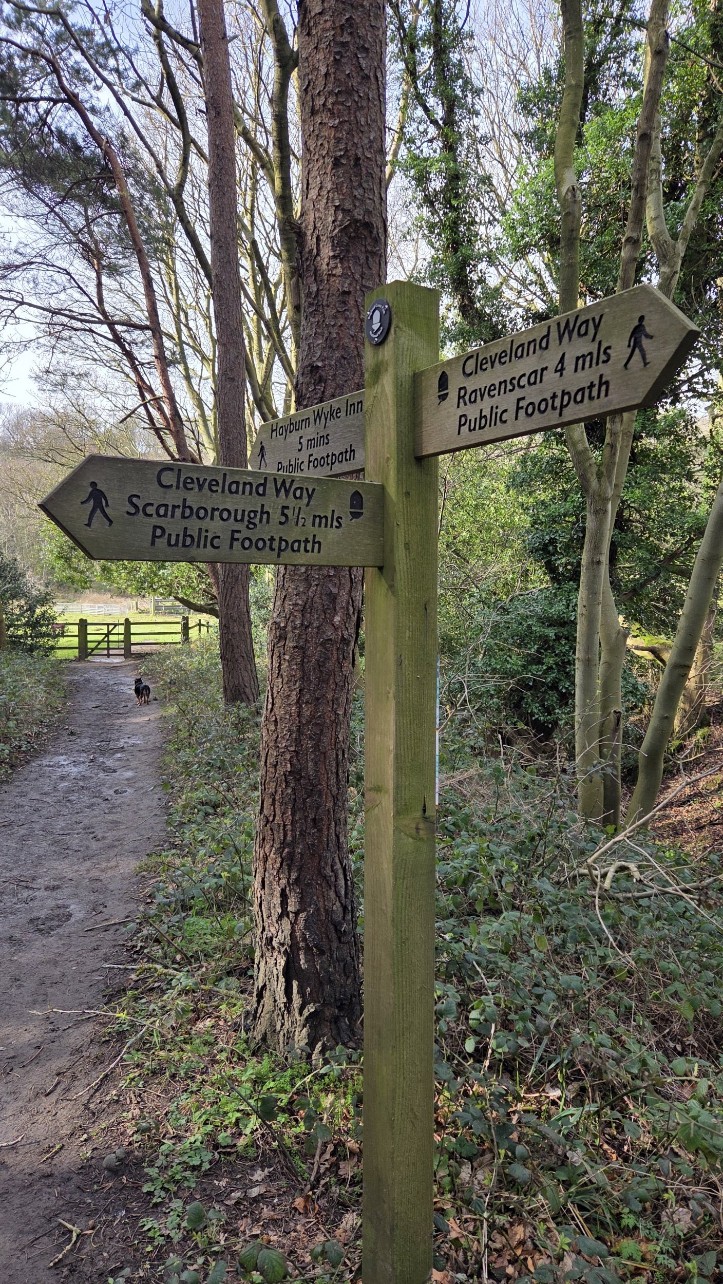 Cleveland Way signpost at Hayburn Wyke between Scarborough and Ravenscar