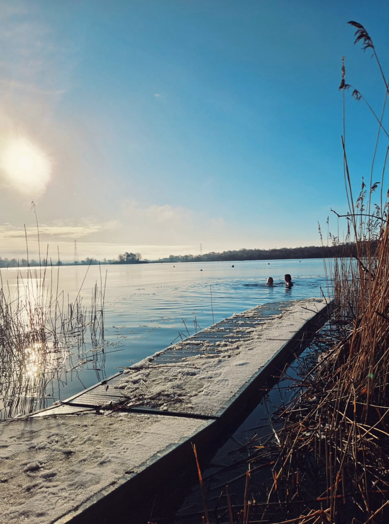 Cold-water swimmers in Wykeham Lakes on a frosty winter morning.
