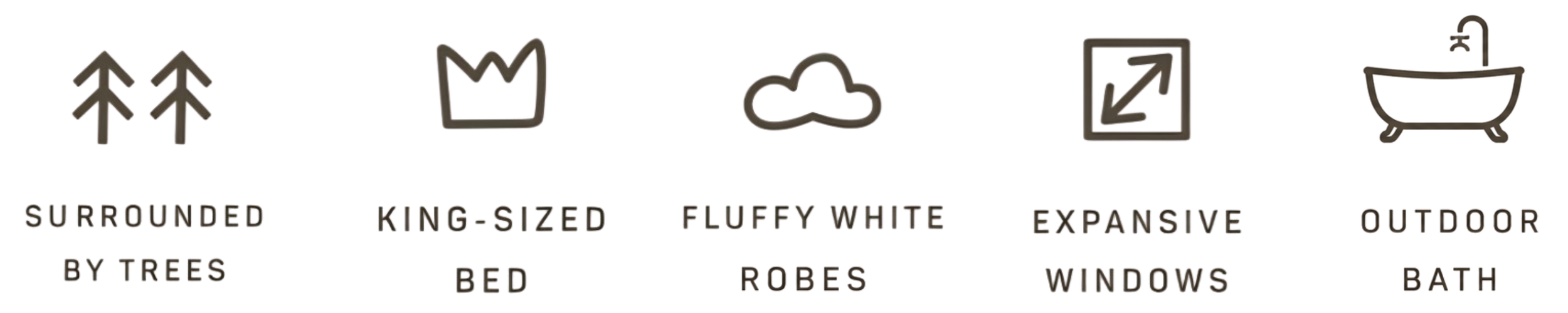 Infographic showing a house with surrounding trees, a bed, robes, kitchen elements, windows, a bathtub, and labels describing the house as king-sized, fluffy white, expansive, and outdoor.