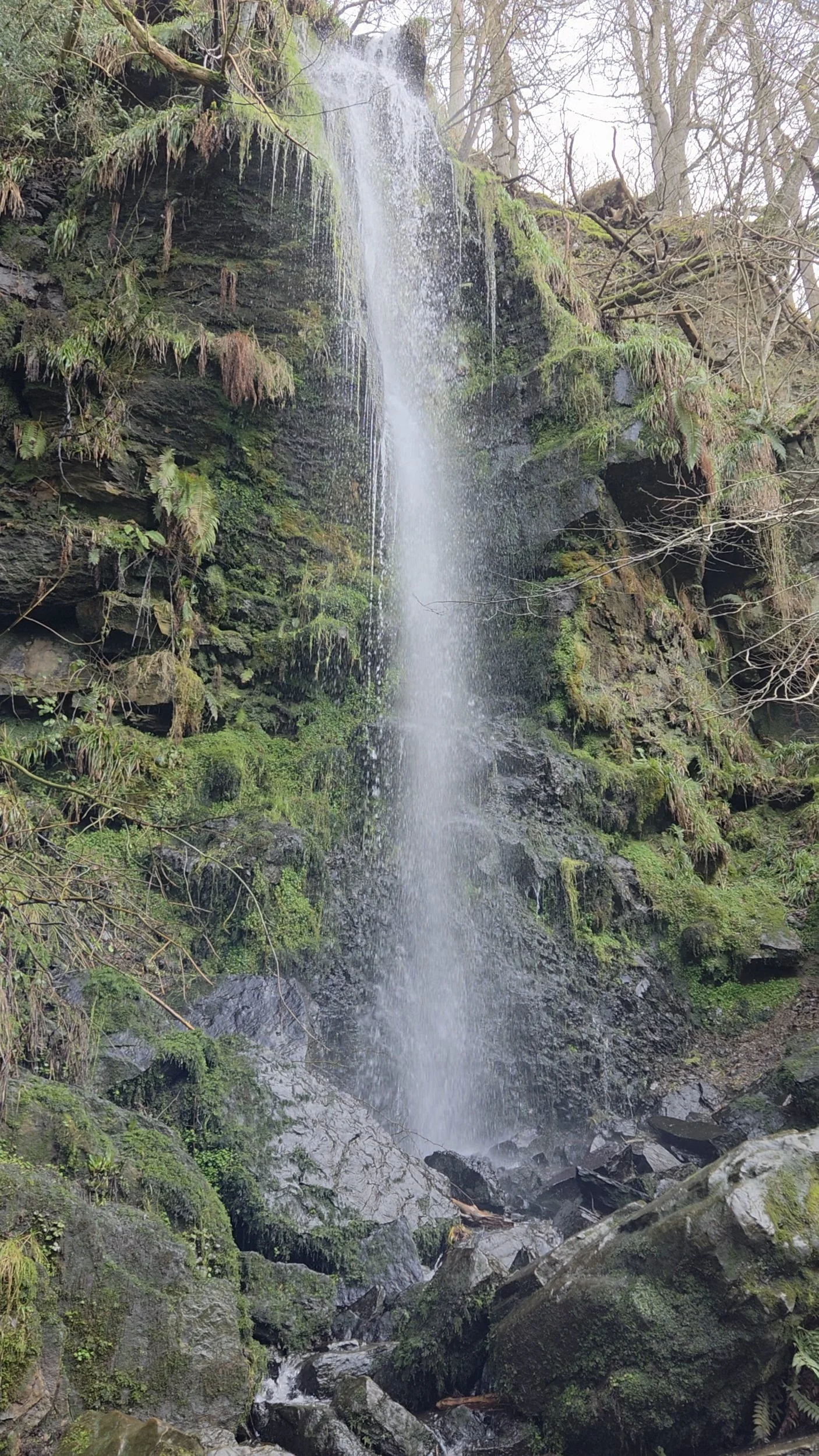 Mallyan Spout Waterfall cascading over moss-covered rocks near Goathland in the North York Moors.