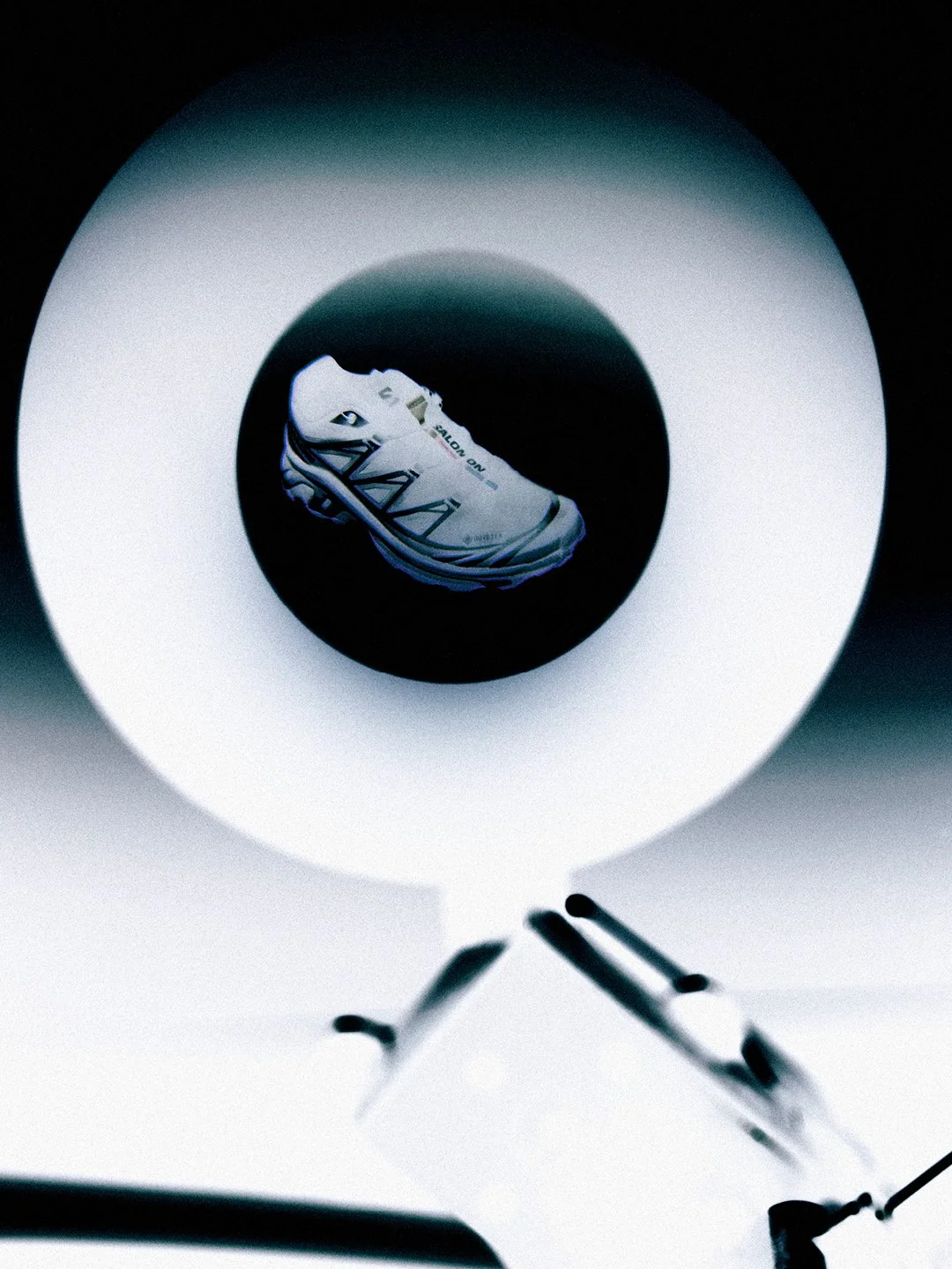 Salomon project