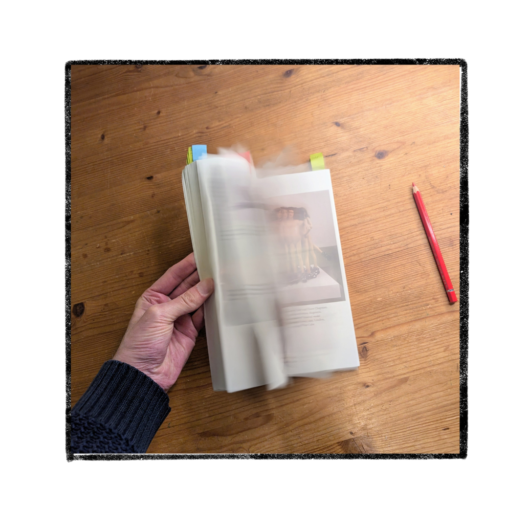 Disability Aesthetics