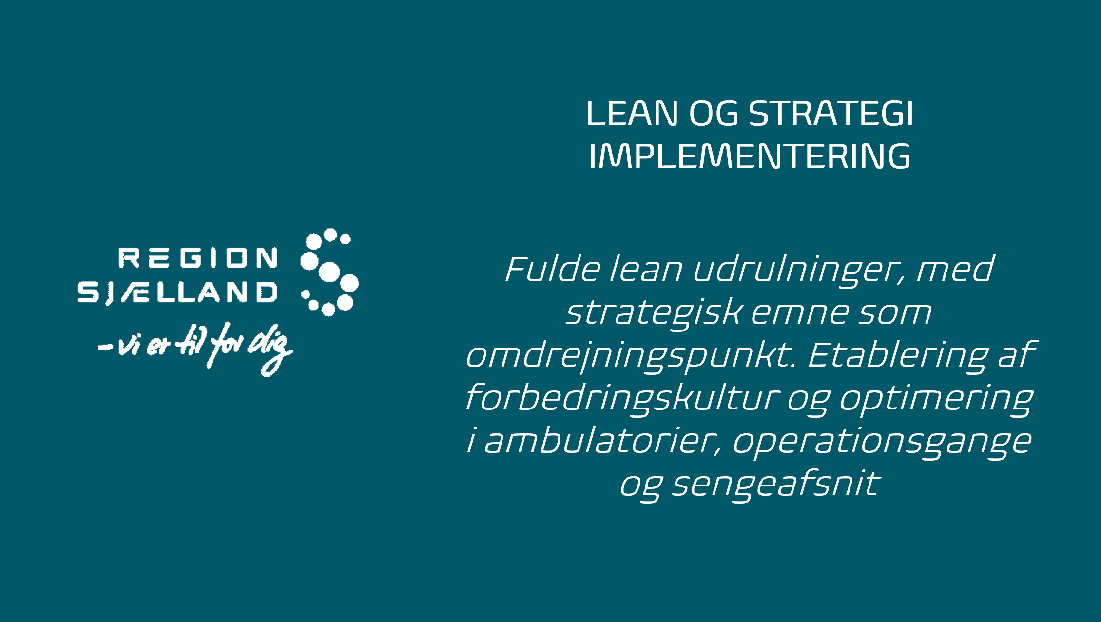 Region Sjælland Case.png