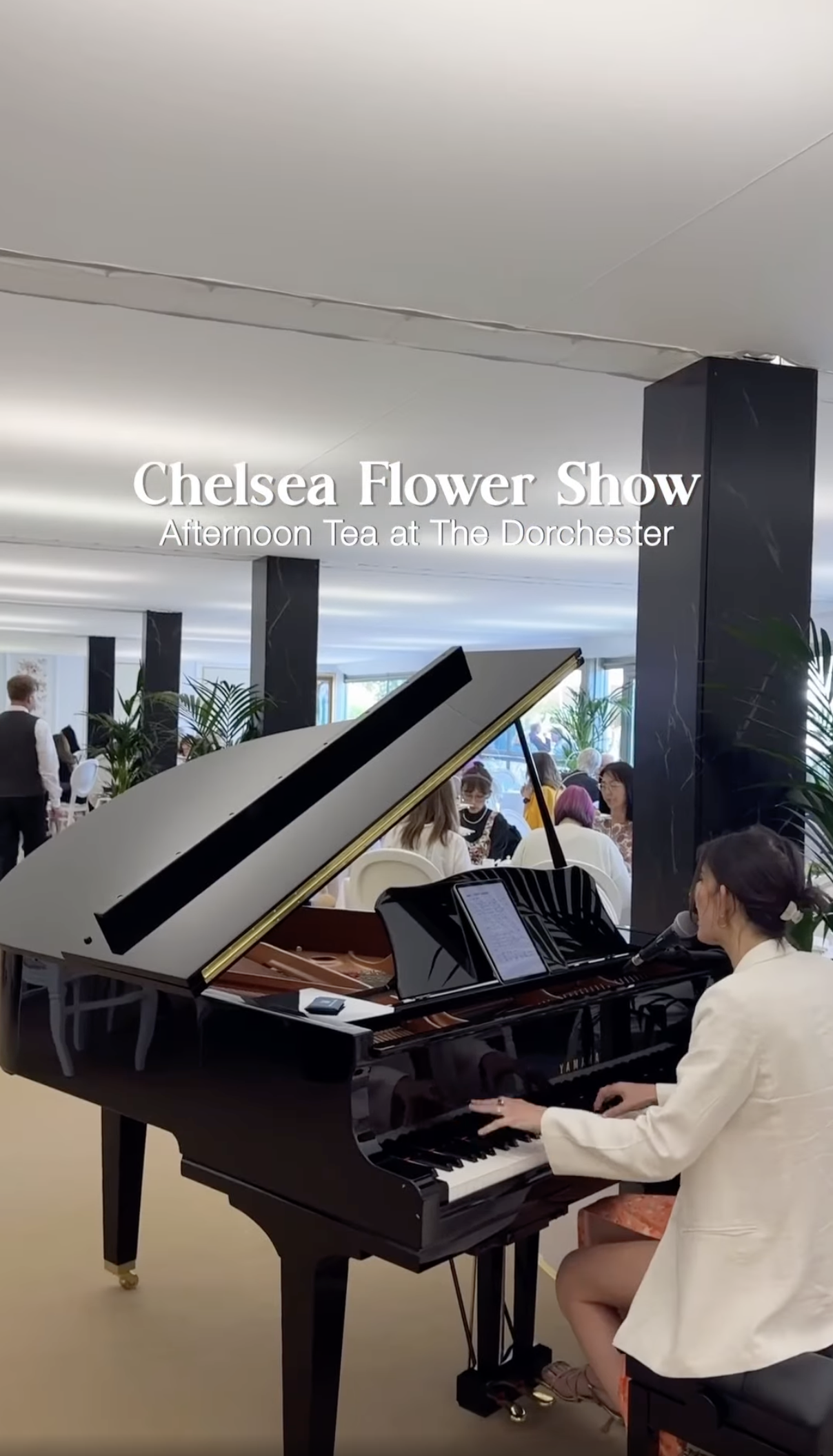 Storyhouse productions (The Dorchester at Chelsea Flower Show)